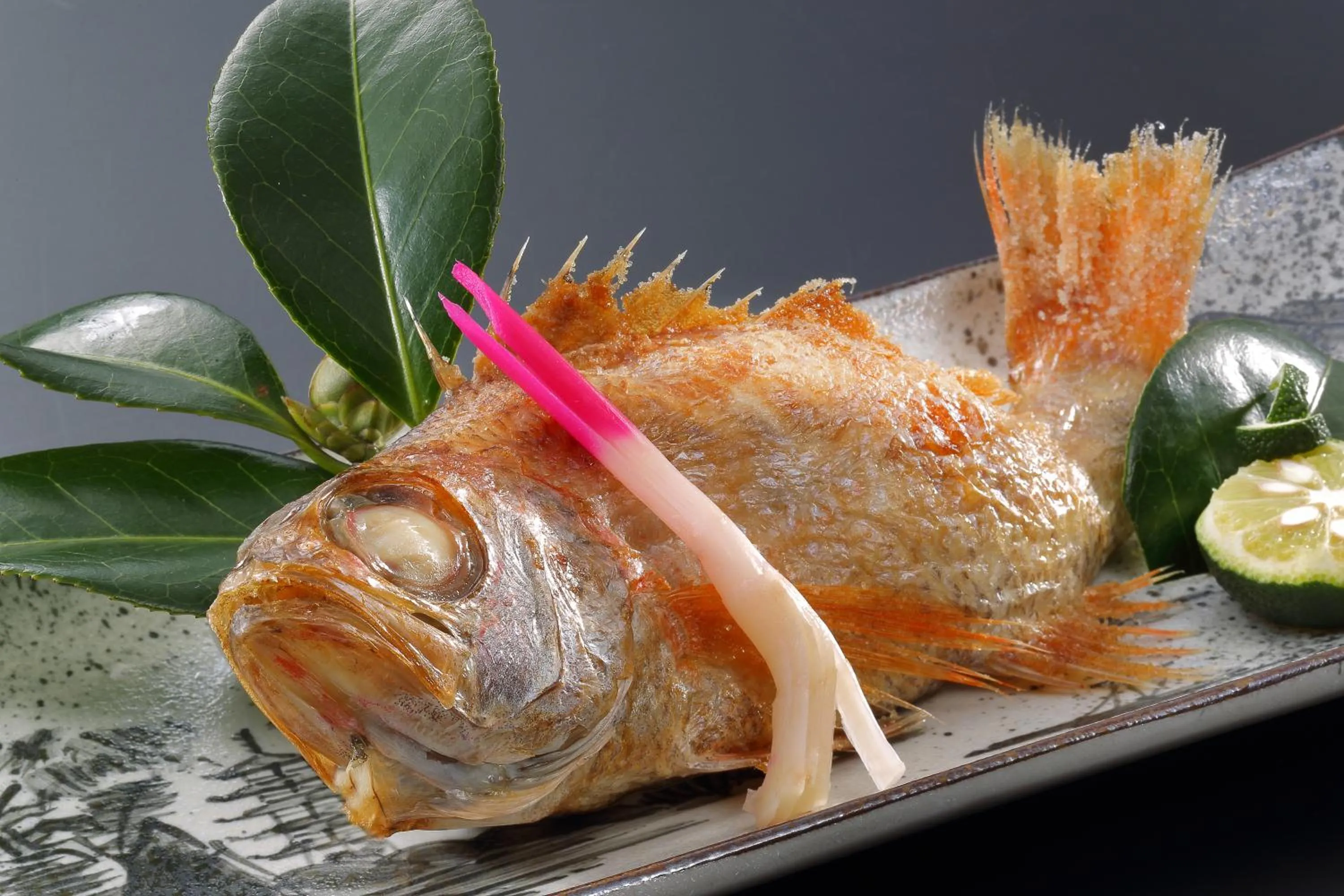 Food close-up in Tachibanaya