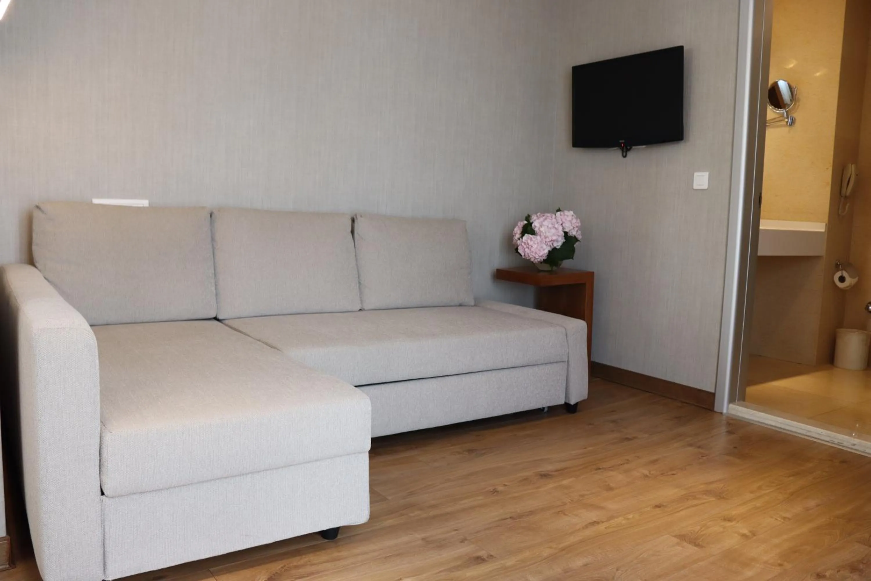 TV and multimedia in Riva Hotel Taksim