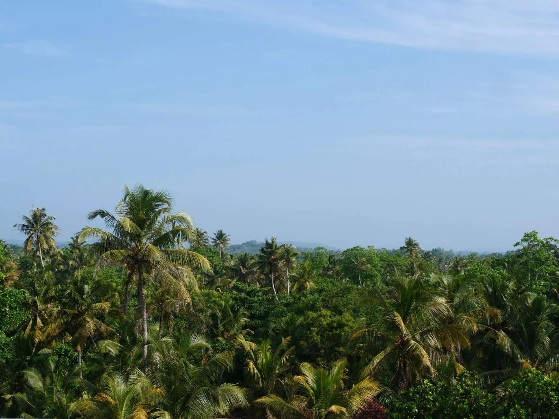 Bird's eye view in Coast 67 Boutique Hotel
