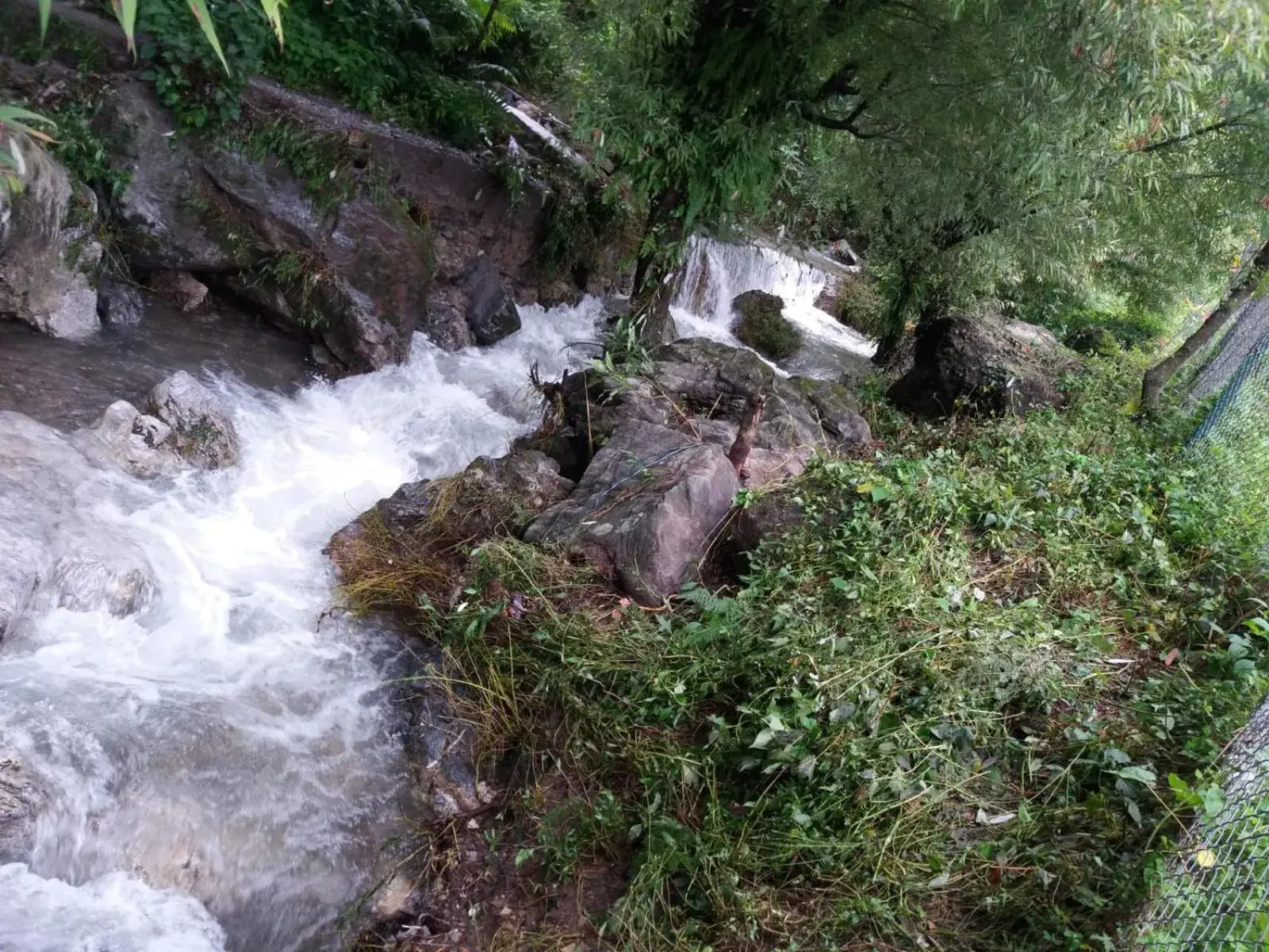 Deluxe Room - single occupancy in NATURE WALK RESORT Mussoorie Deluxe Room - single occupancy in NATURE WALK RESORT Mussoorie