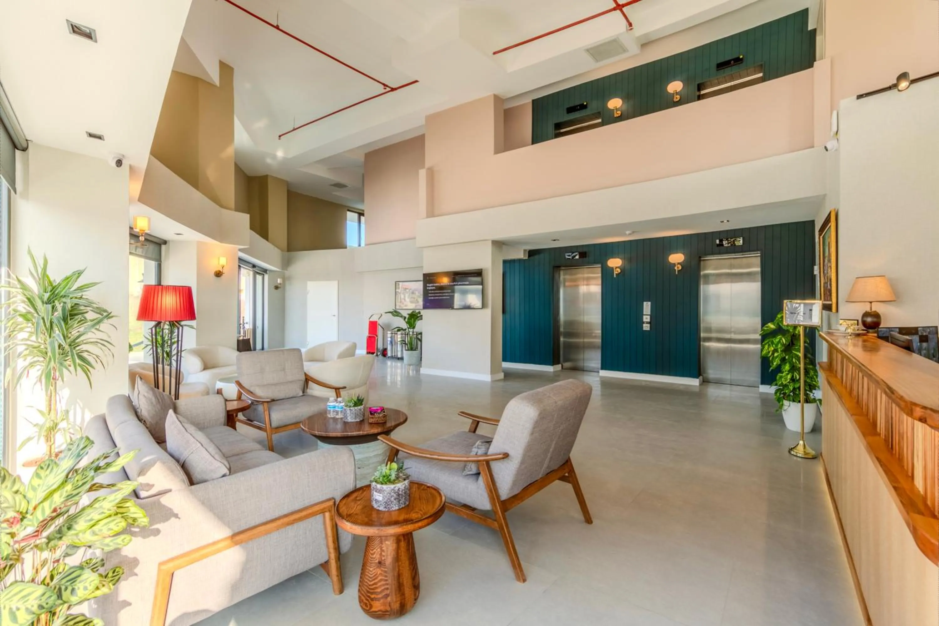 TV and multimedia in Nenessa Airport Hotel