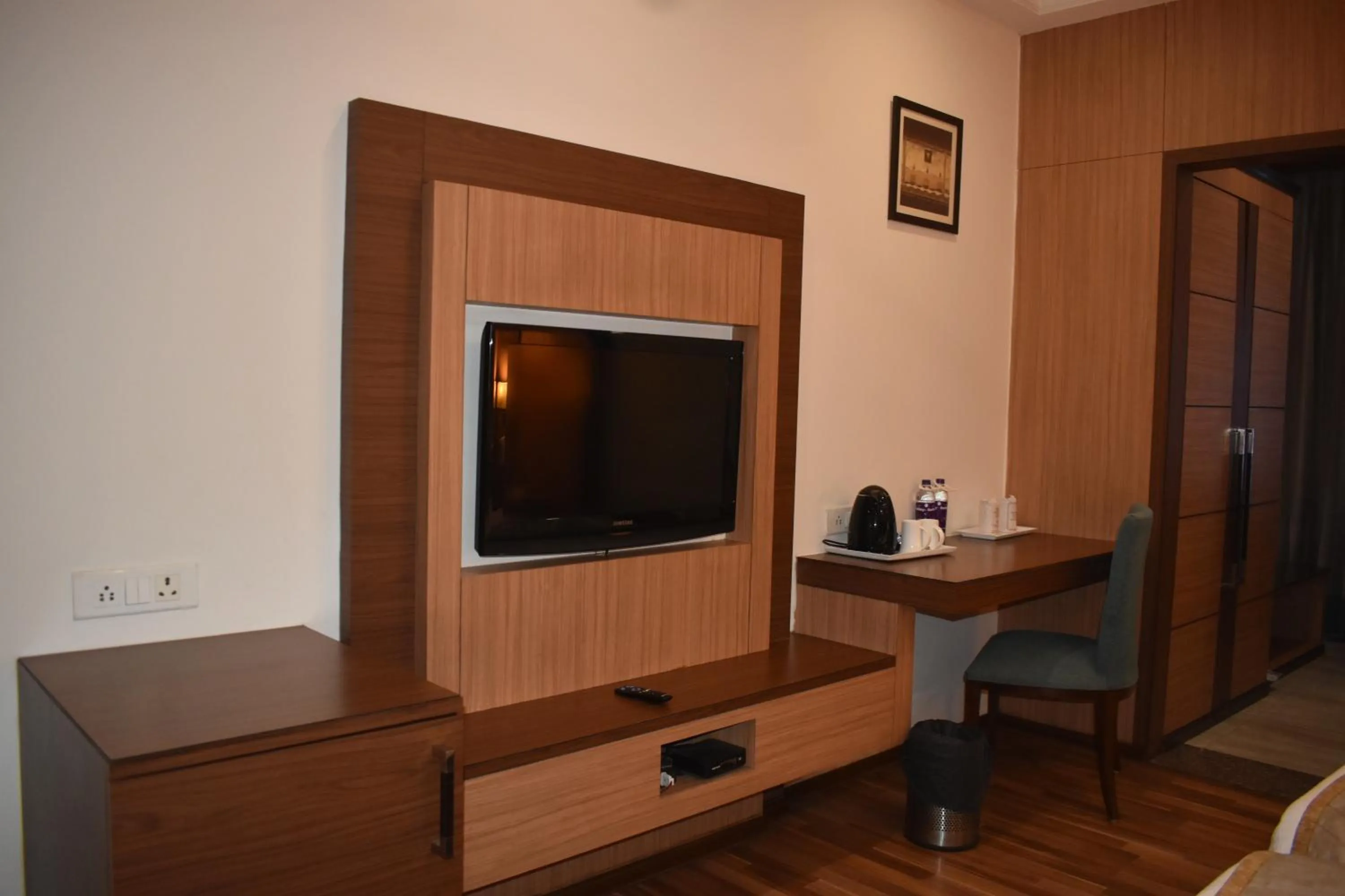 TV and multimedia in Chanakya Hotel, Patna
