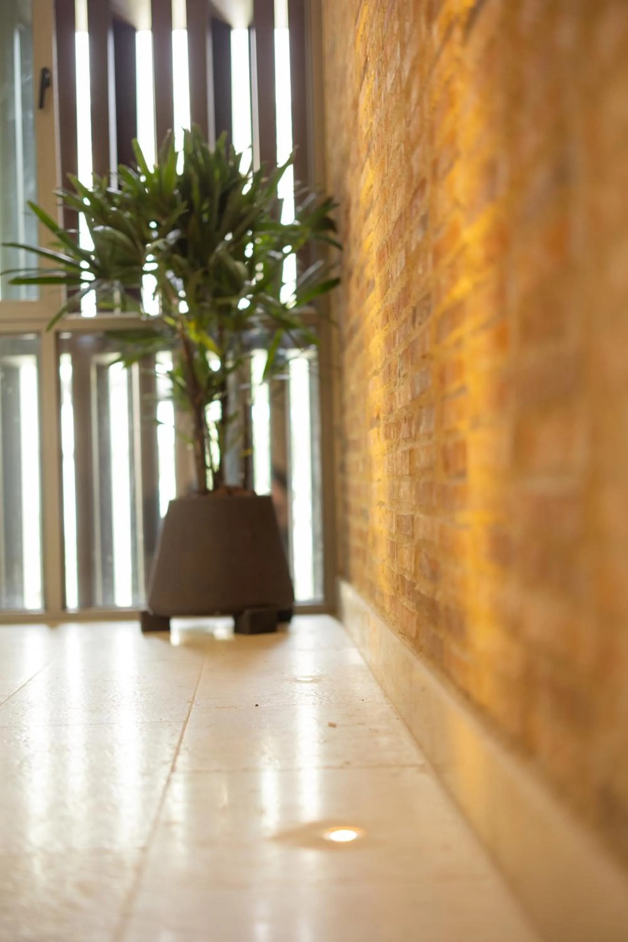 Area and facilities in Moabi Hotel