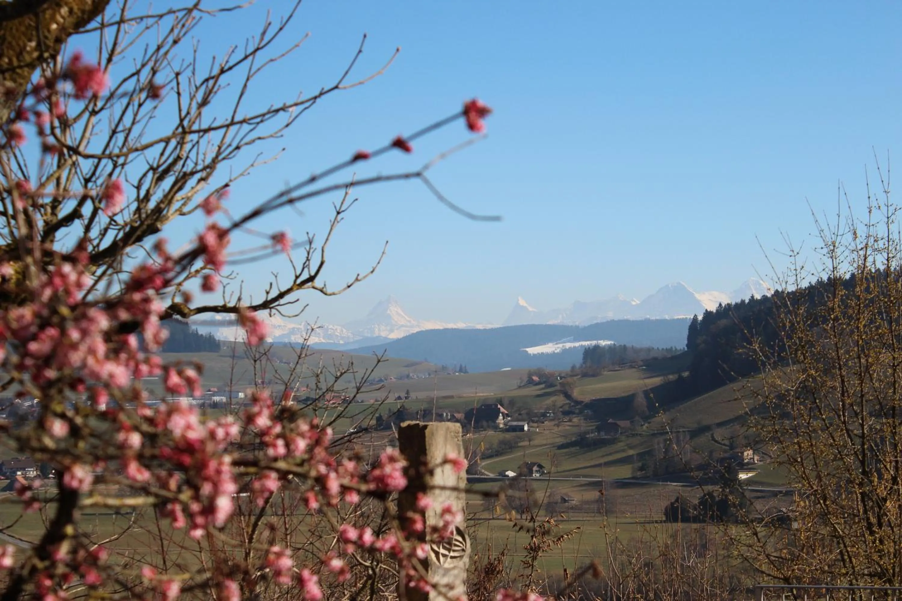 View (from property/room) in Restaurant Hotel Rüttihubelbad