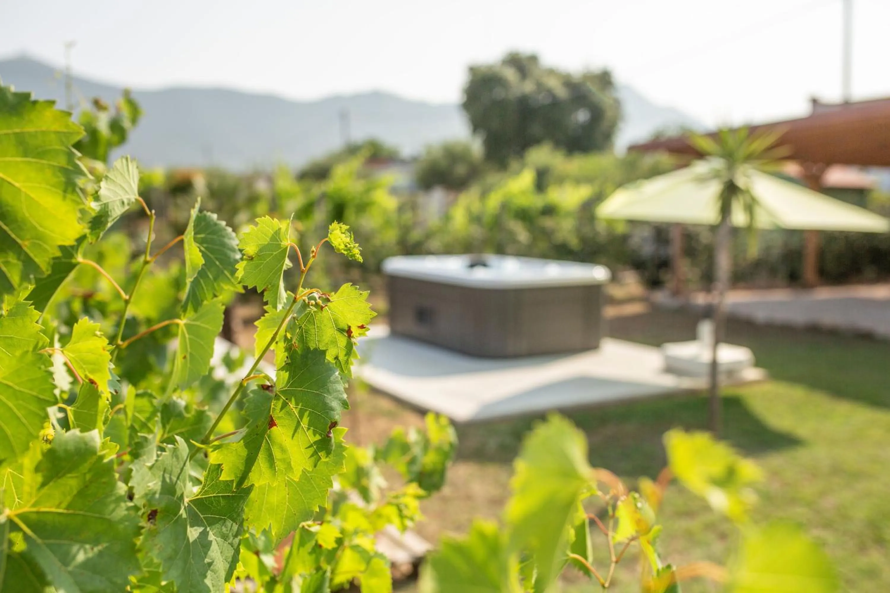 Spring in Villa LA CESA & Villino LA CASETTA Holiday Houses CON JACUZZI