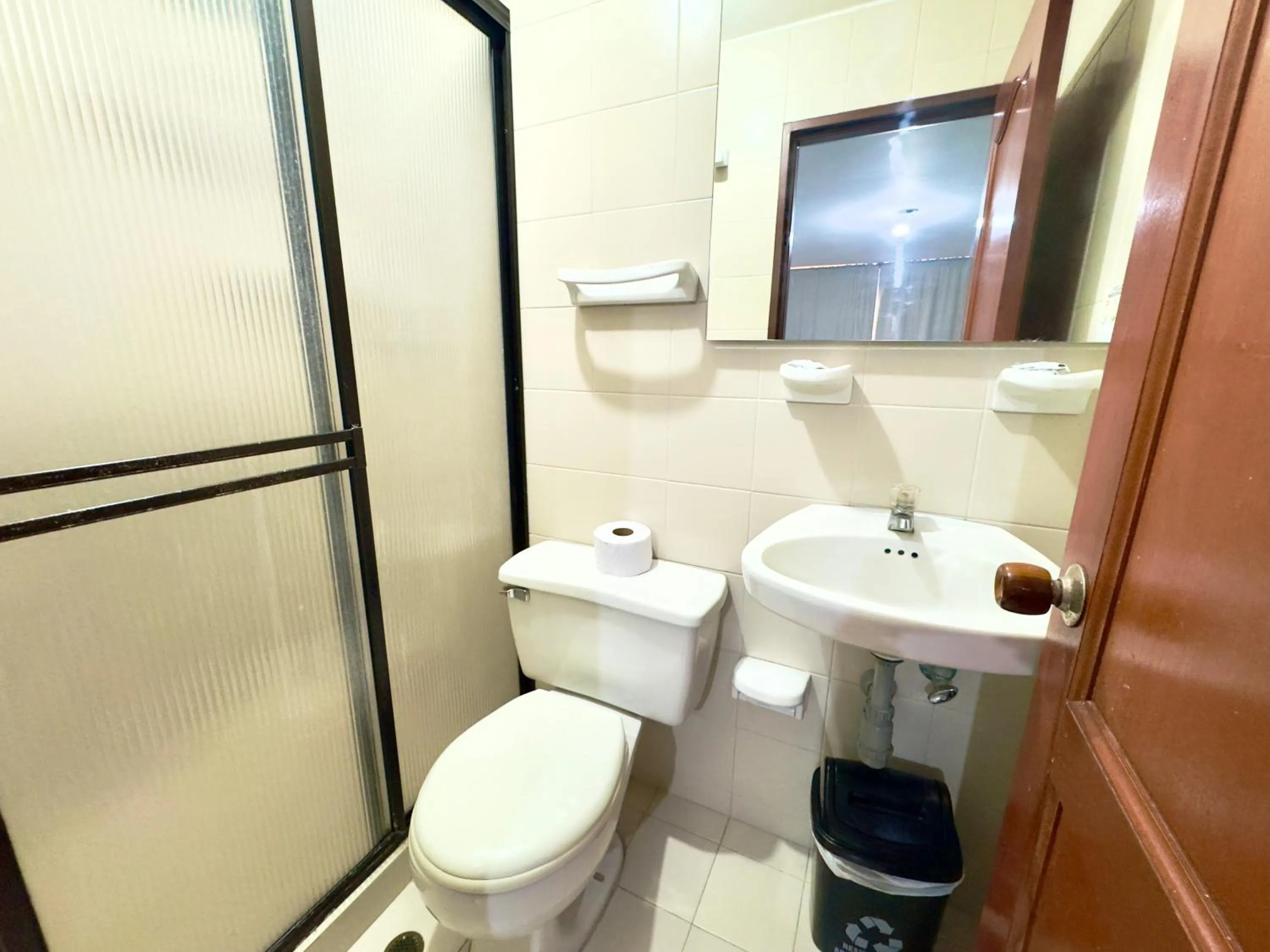 Shower in Hotel Pereira Central