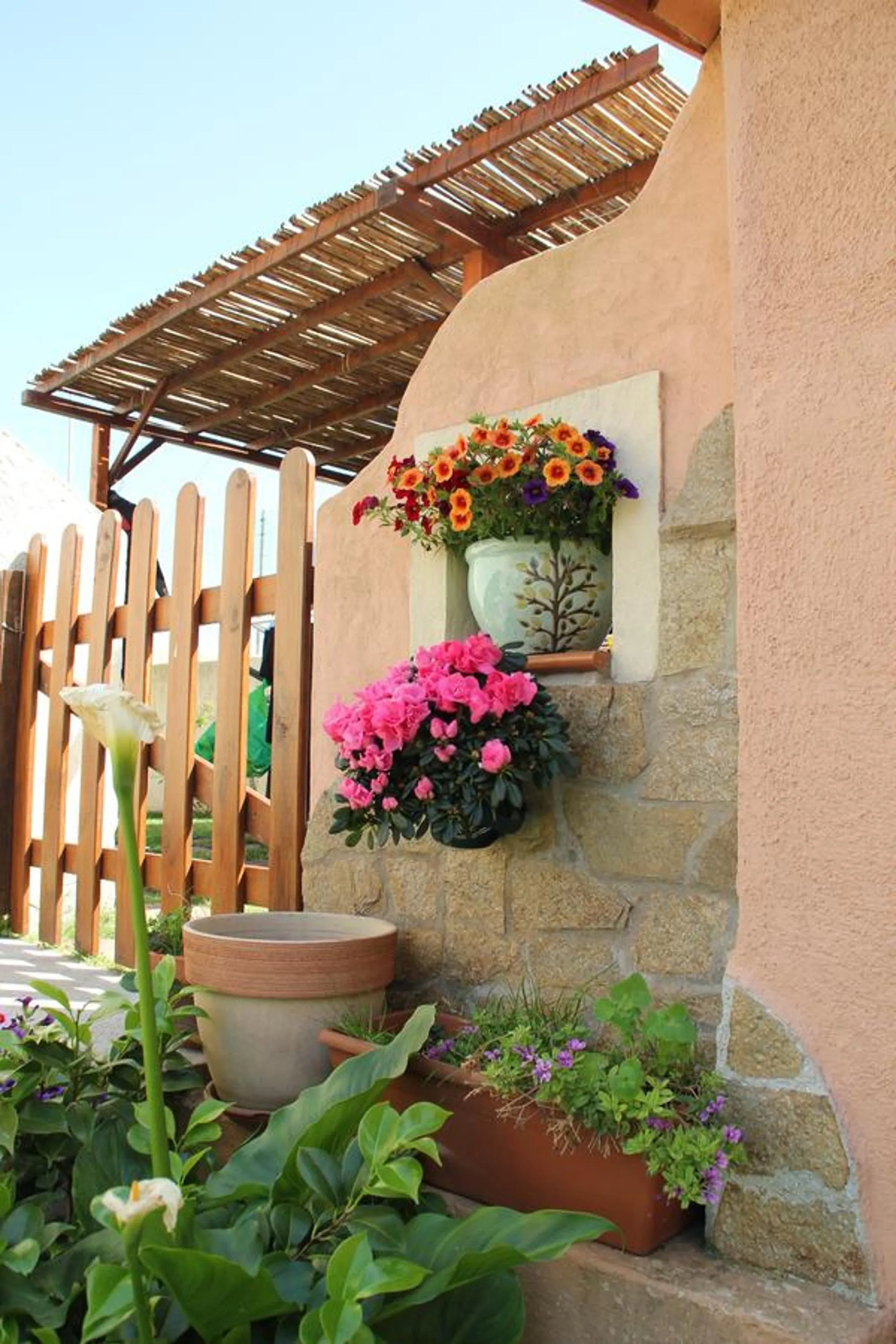 Garden in B&B La Pintadera