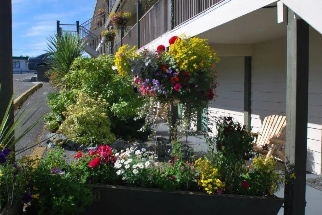 Queen Room in Pacific Rim Motel Queen Room in Pacific Rim Motel