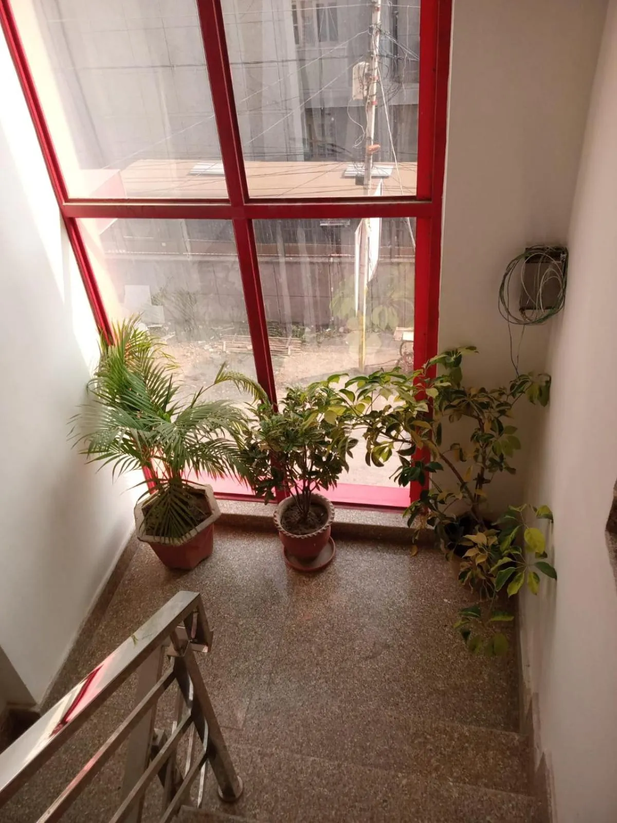 View (from property/room) in Jaiswal Home Stay