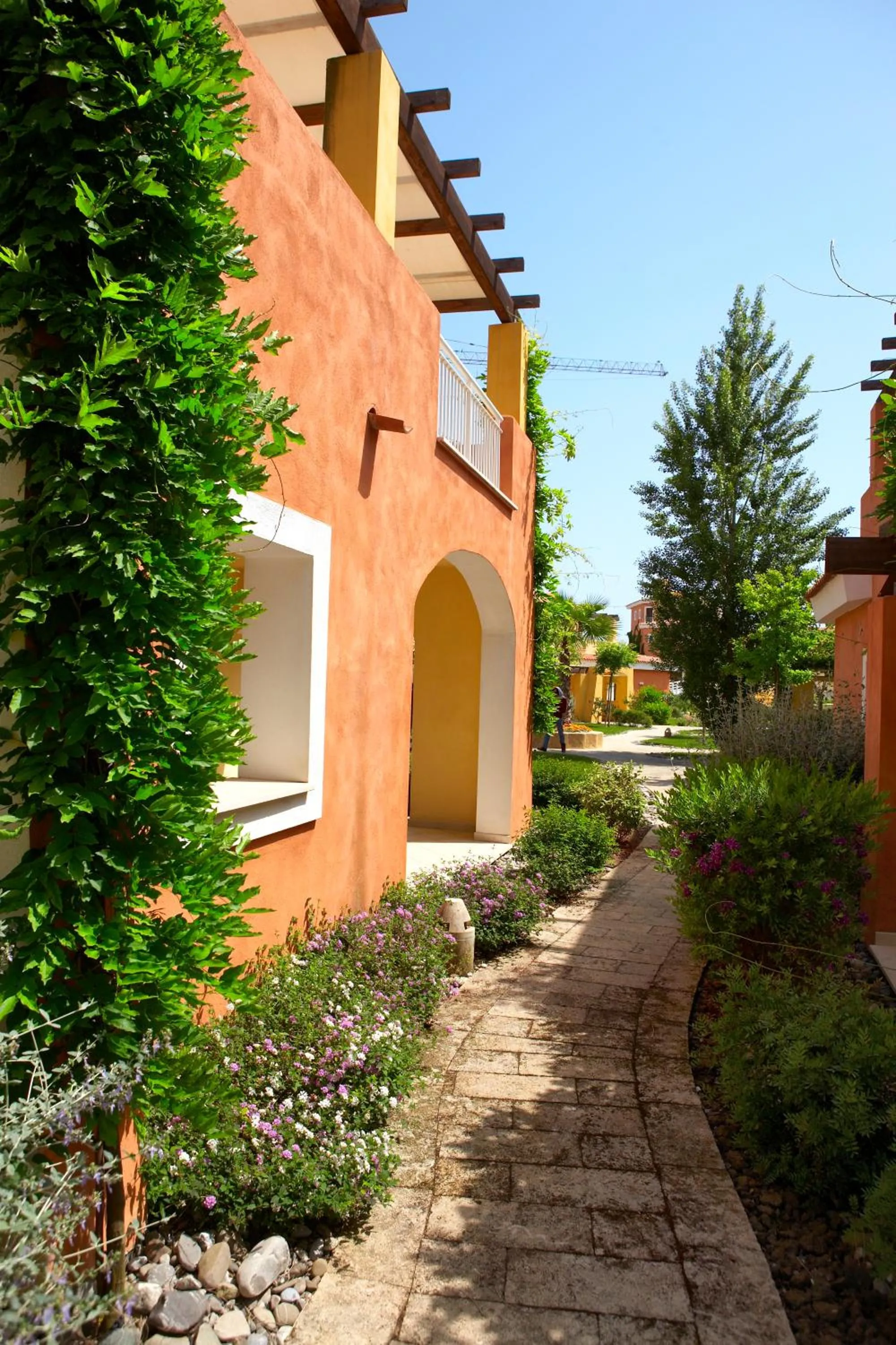 Garden in Argonauti Residence