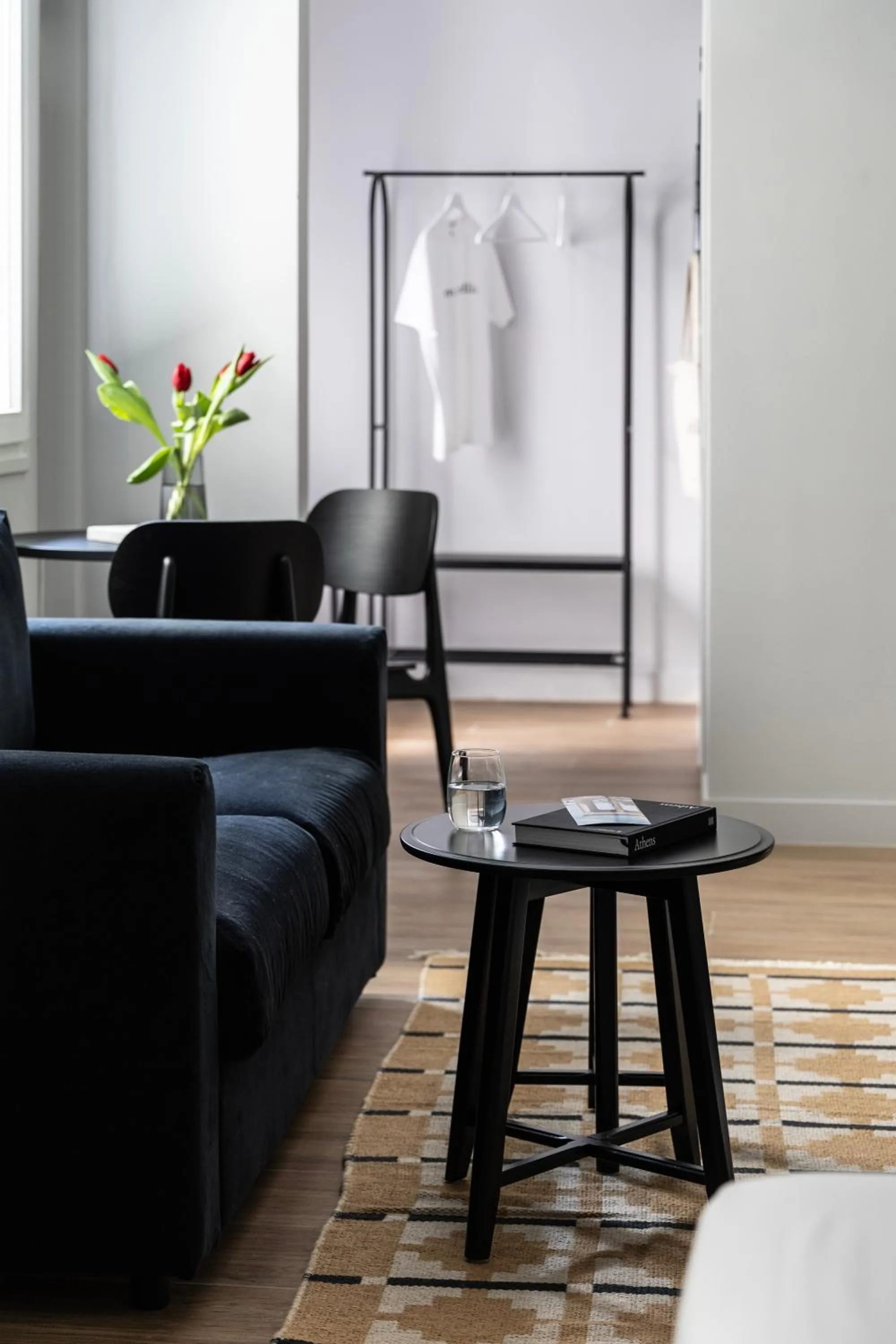 Living room in Elliot Petralona, Athens