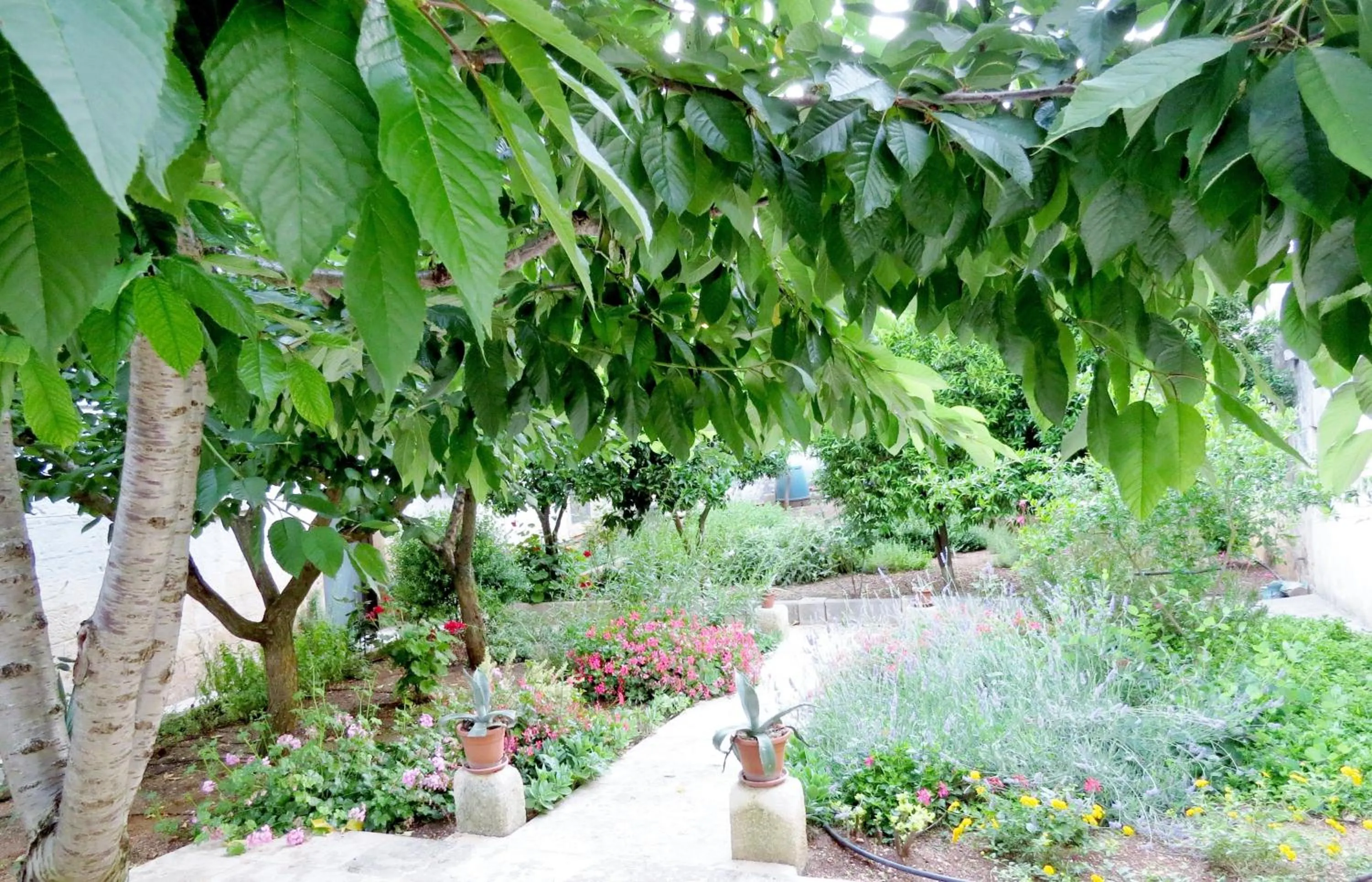 Day in Palazzo Rodio