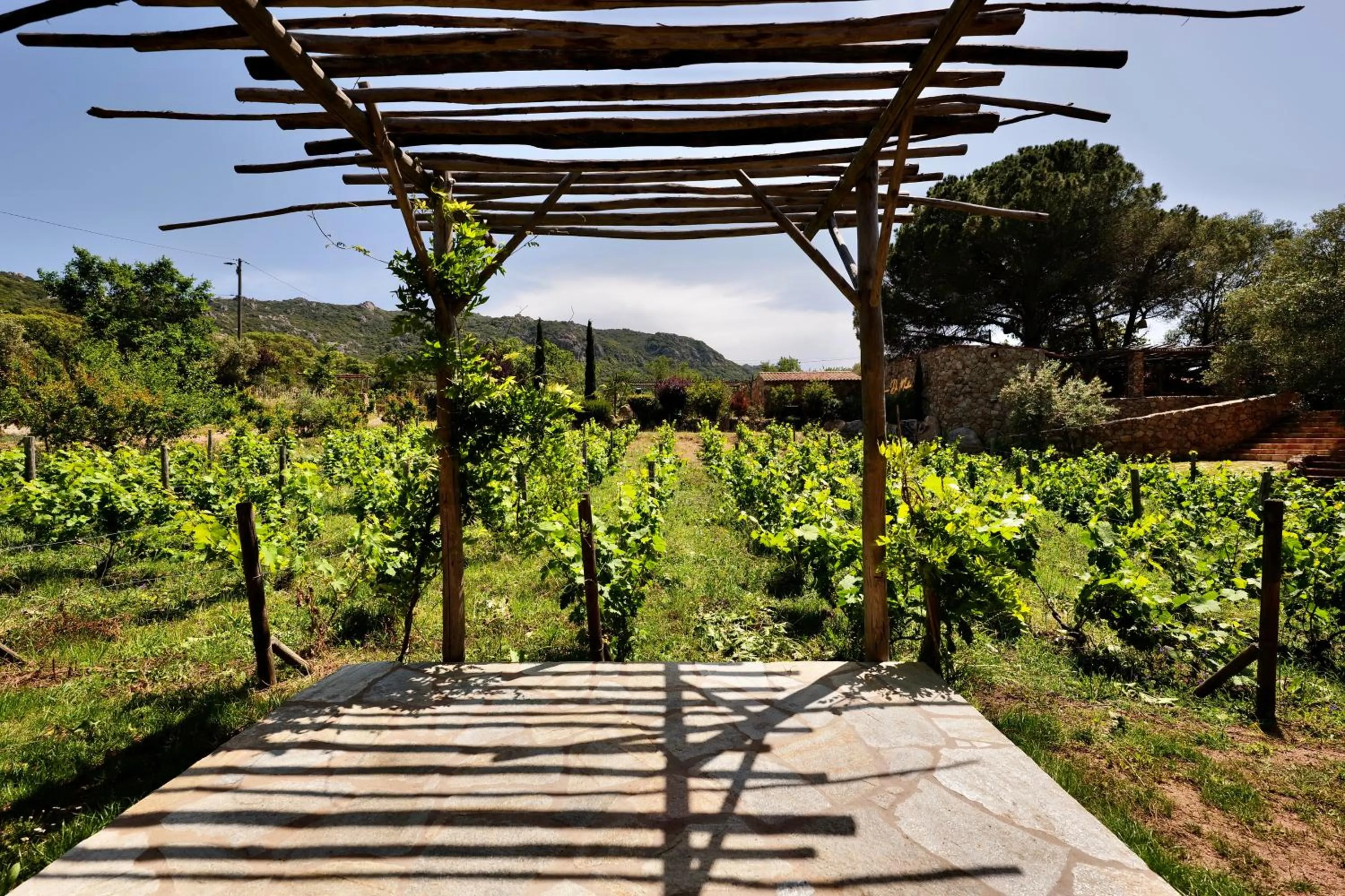 Garden in Domaine Pozzo di Mastri hôtel & spa