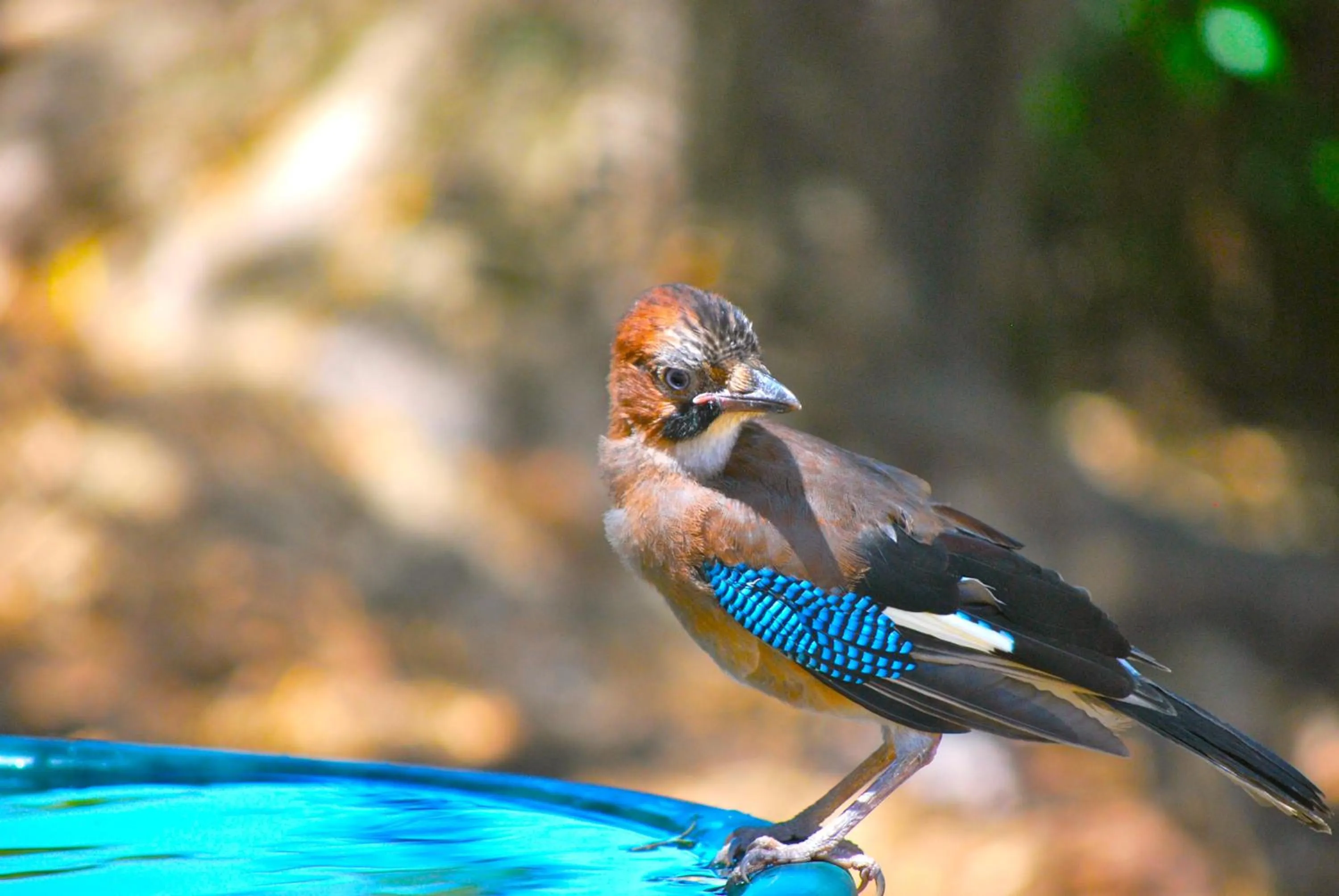 Domaine Pozzo di Mastri hôtel & spa