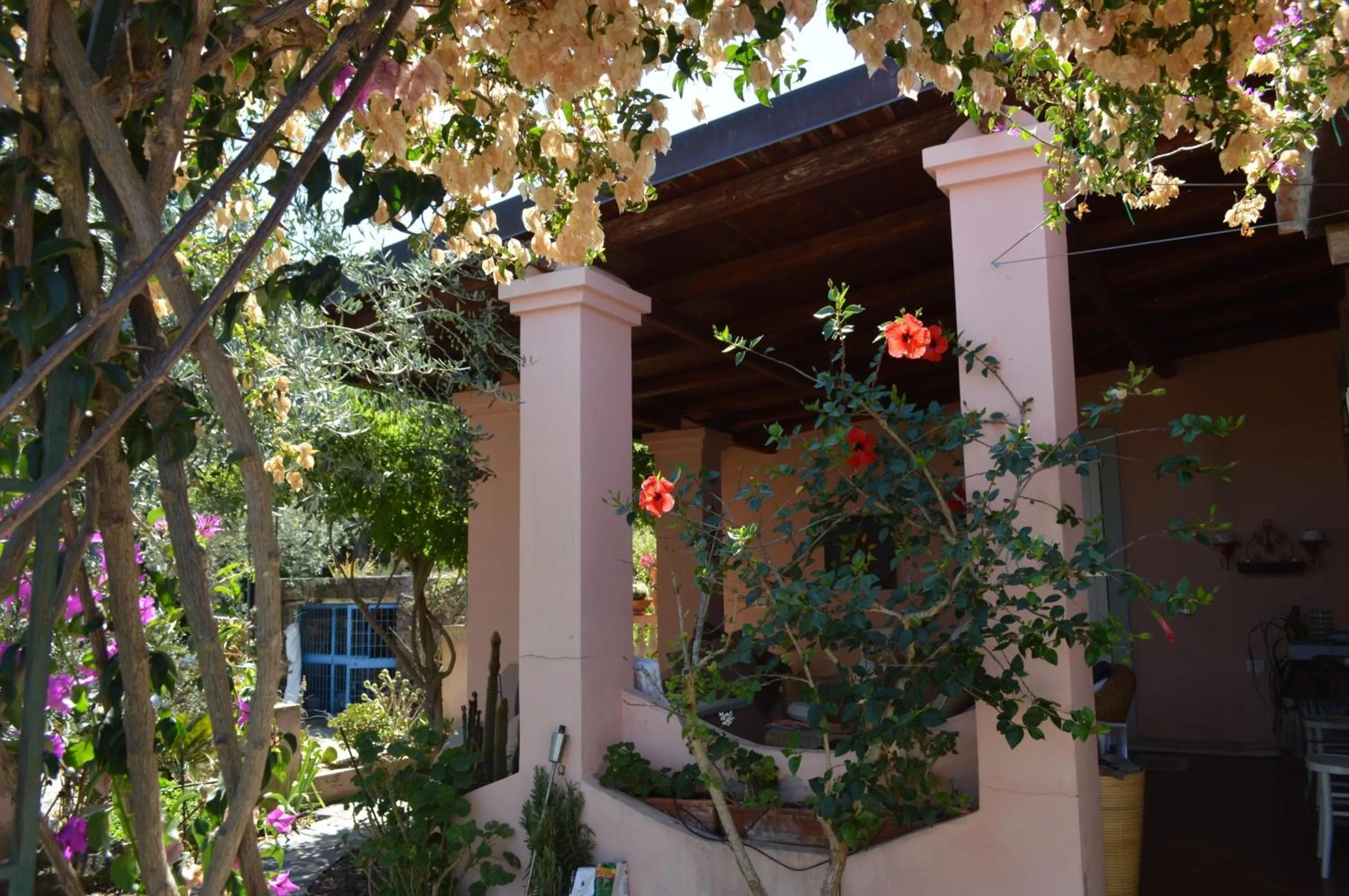 Patio in B&B Kapì Country