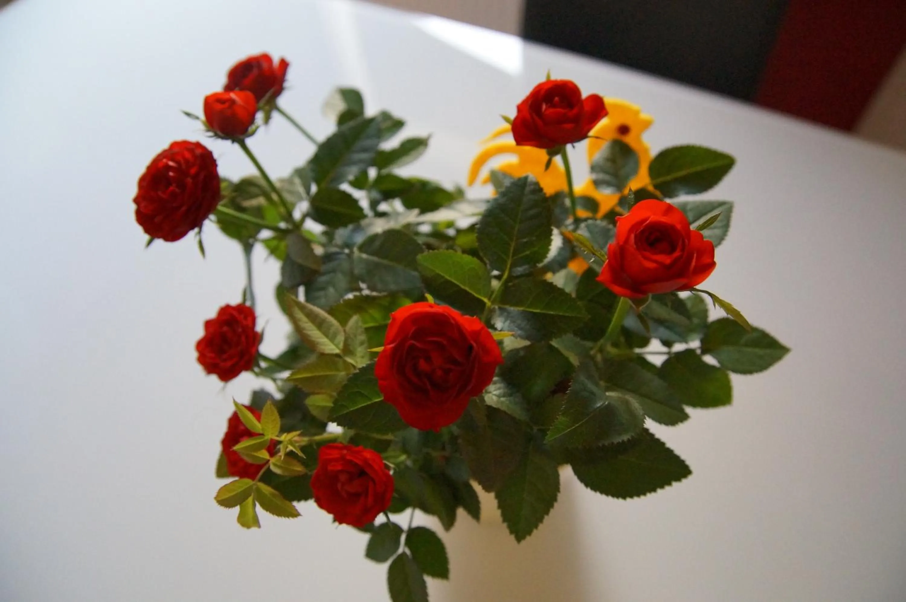 Decorative detail in W & S Executive Apartments - Hallstatt I