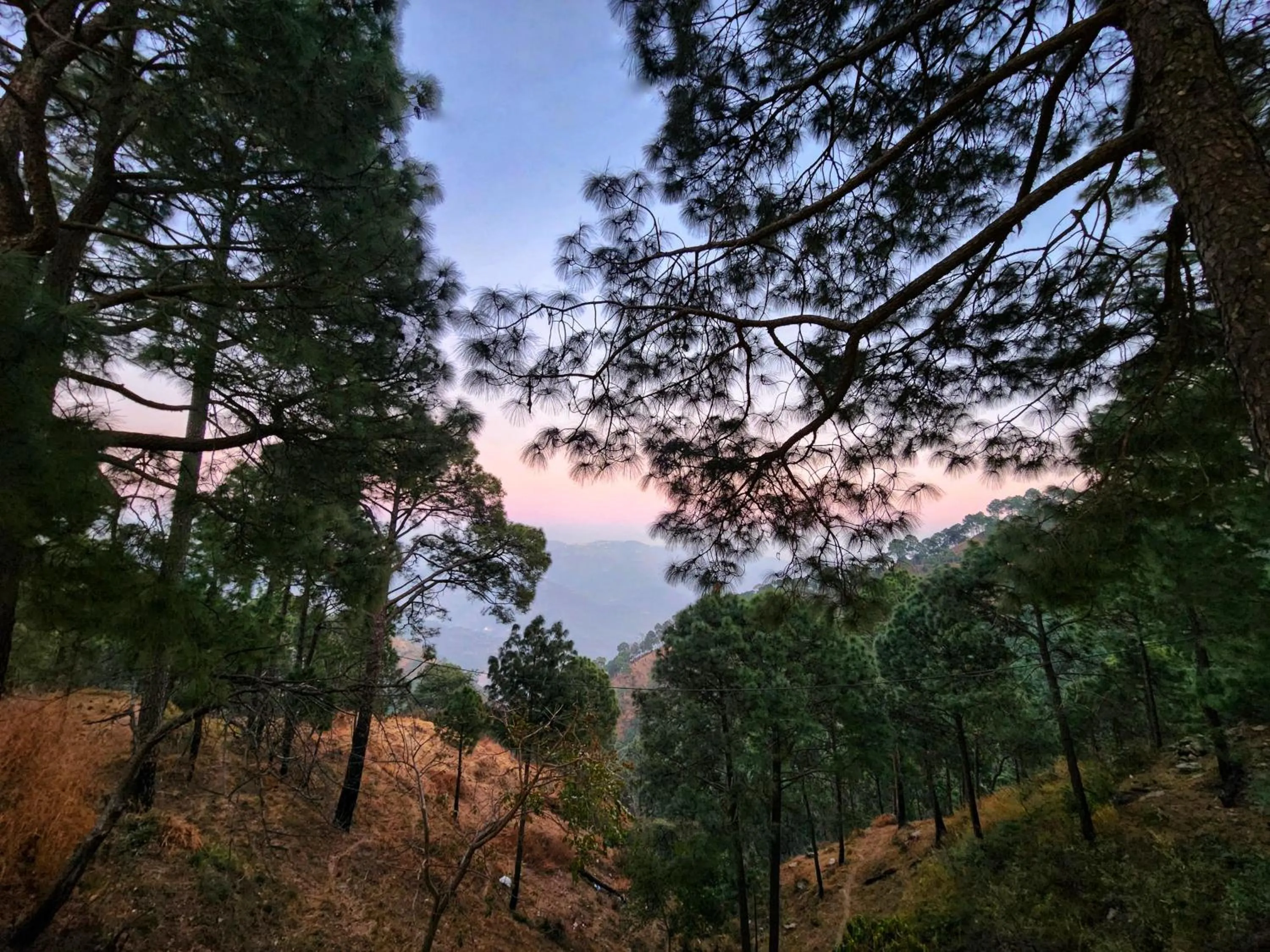 View (from property/room) in The Hamilton Kasauli