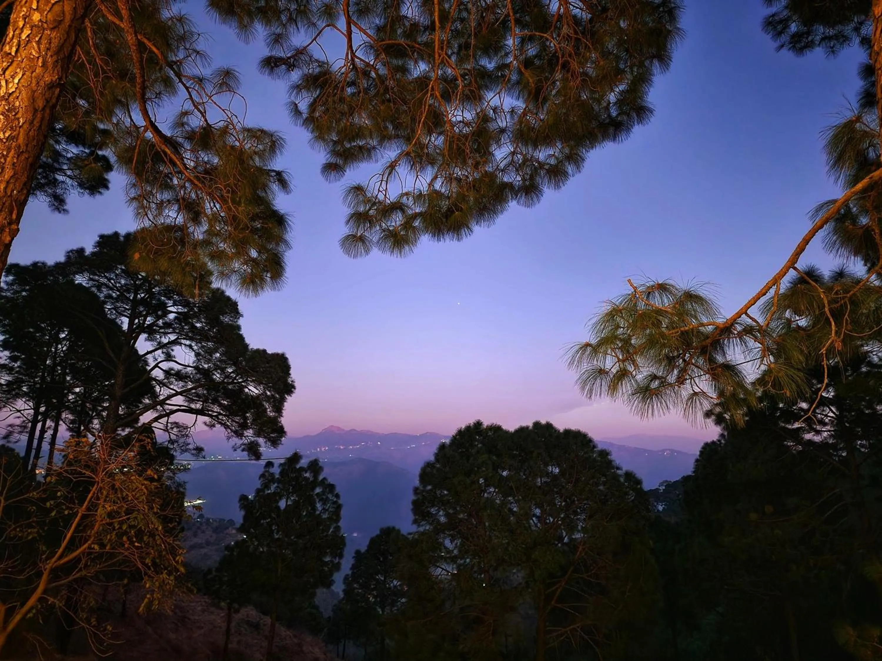 View (from property/room) in The Hamilton Kasauli