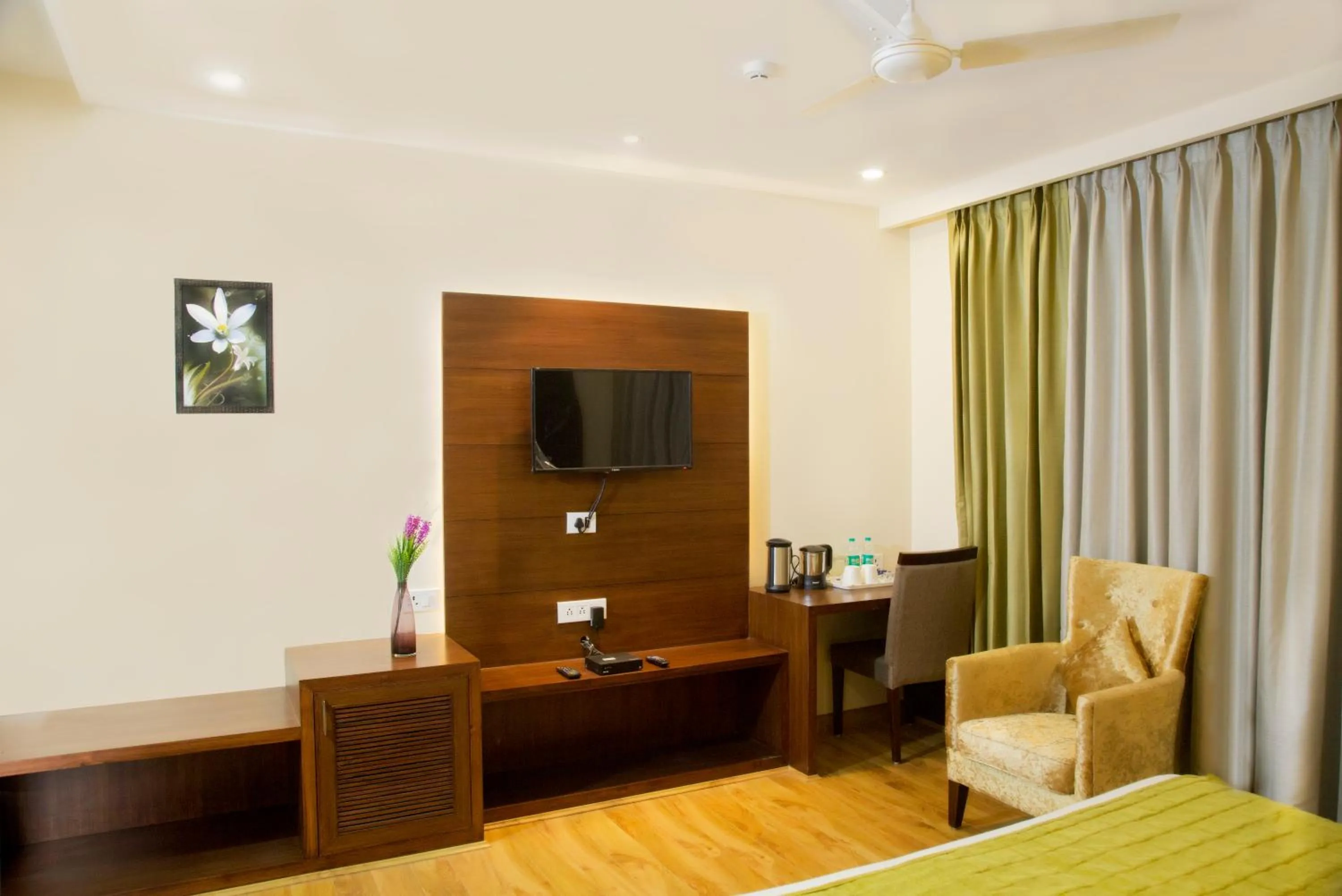 TV and multimedia in Hotel Bahl Regency