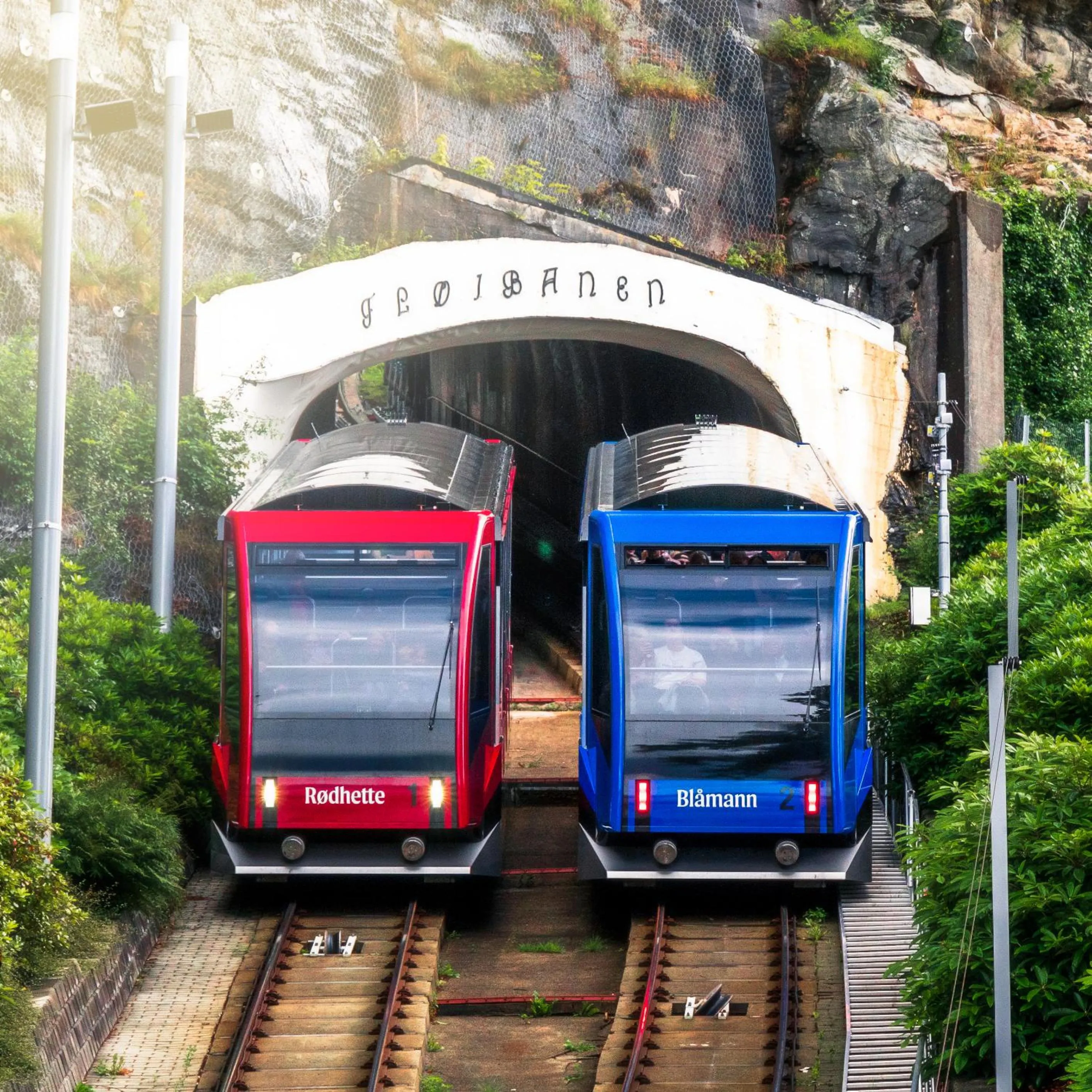 Neighbourhood in Hotel Oleana