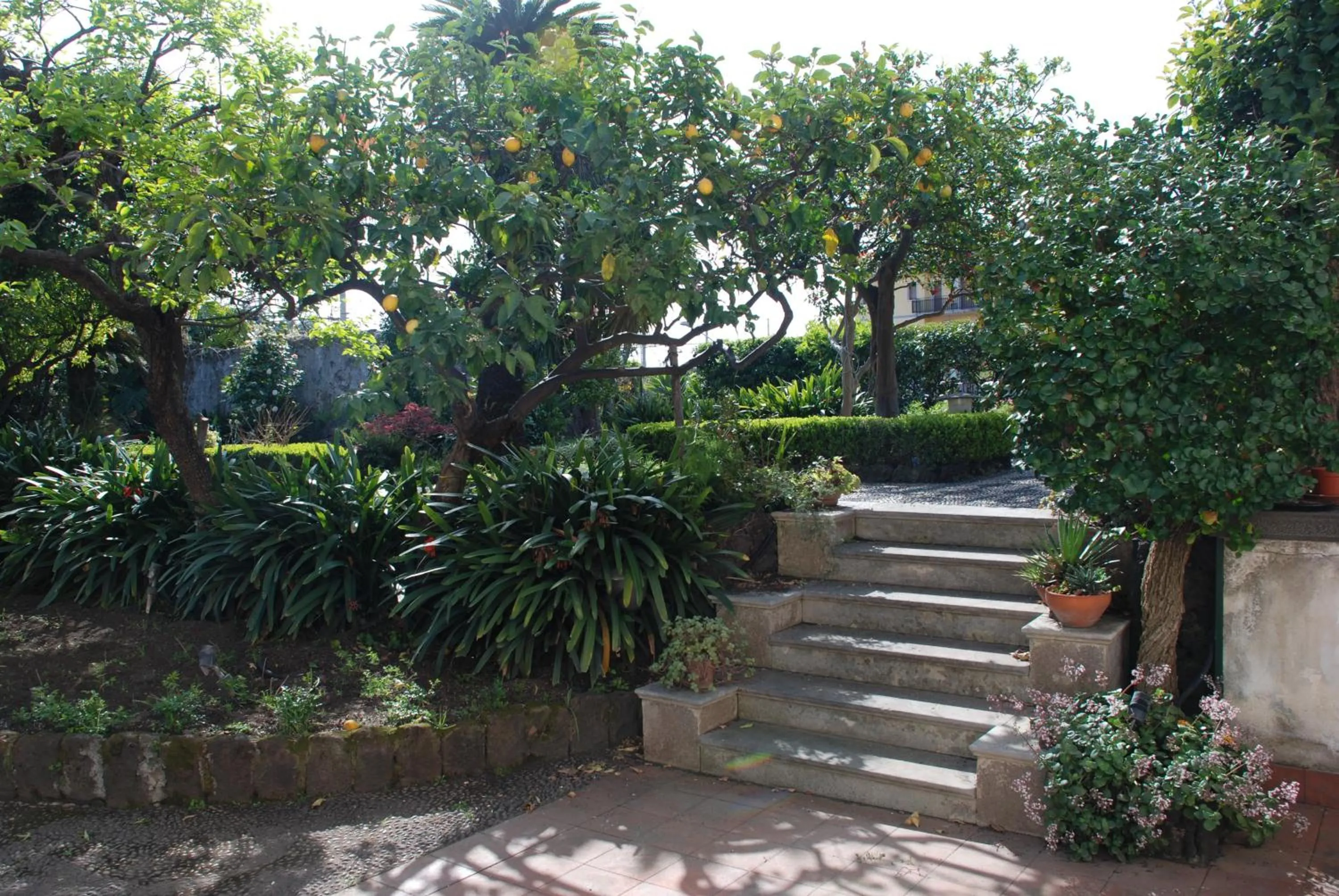 Garden in B&B Villa Maria