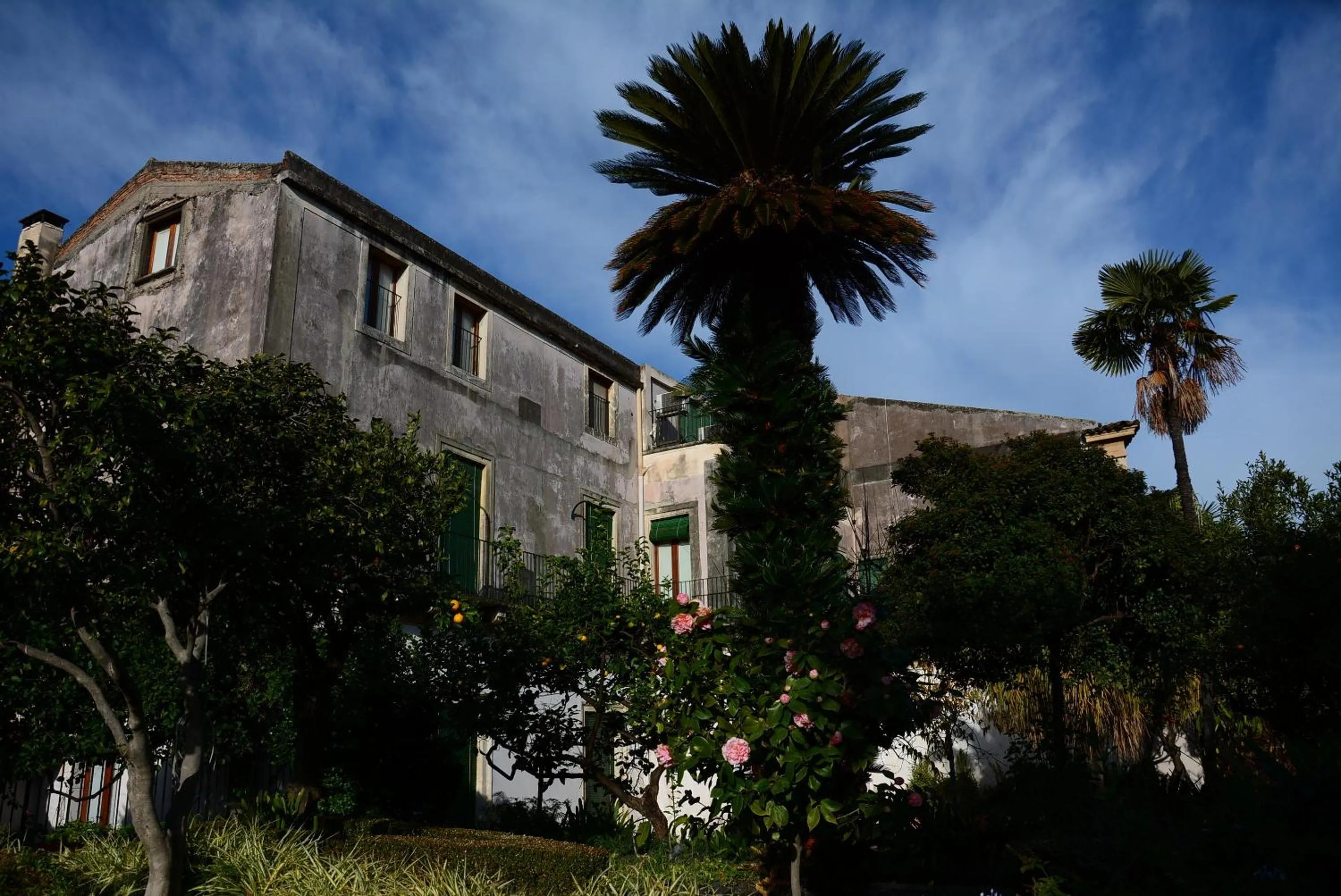 Garden view in B&B Villa Maria