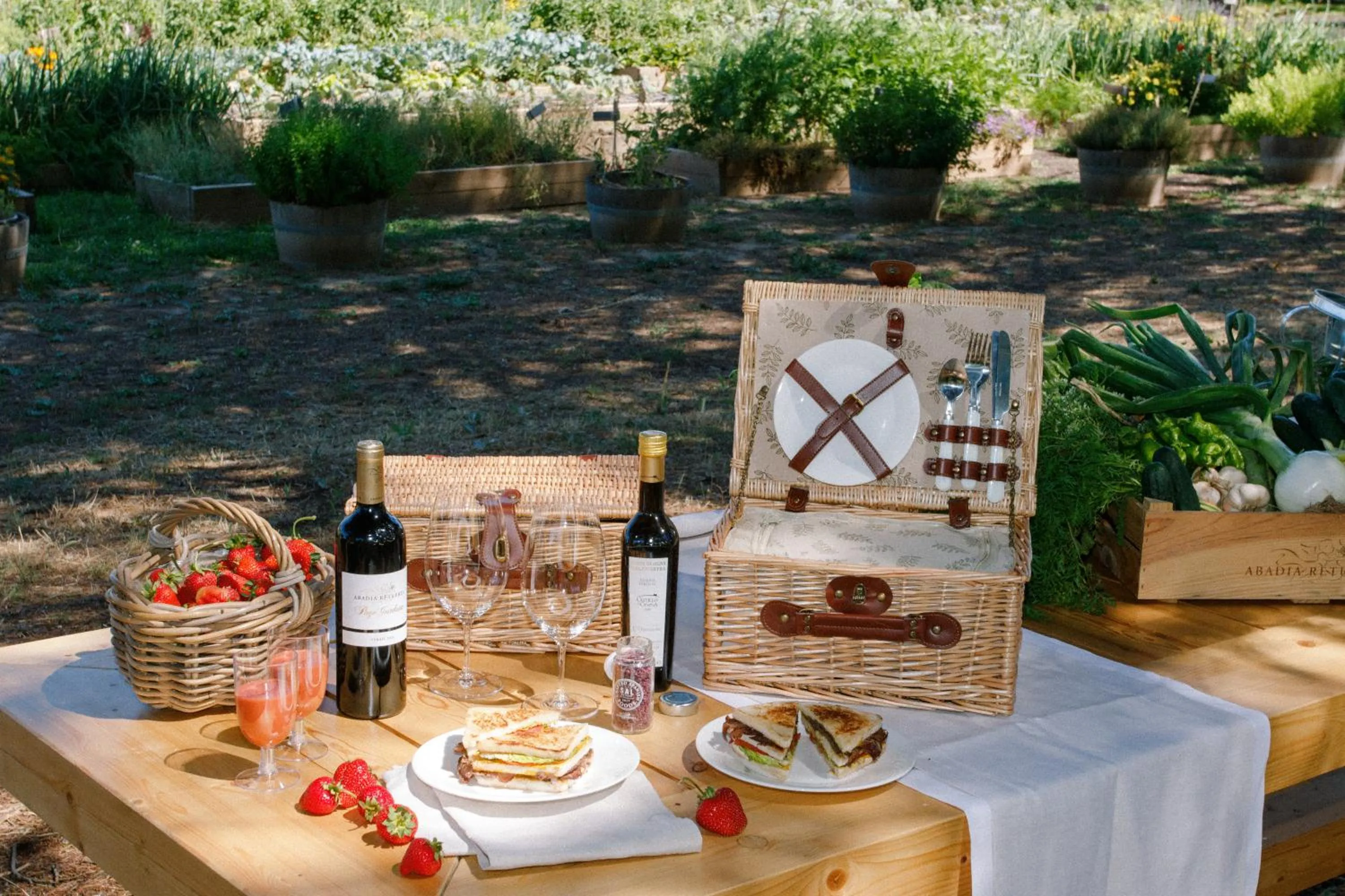 Activities in Abadia Retuerta LeDomaine