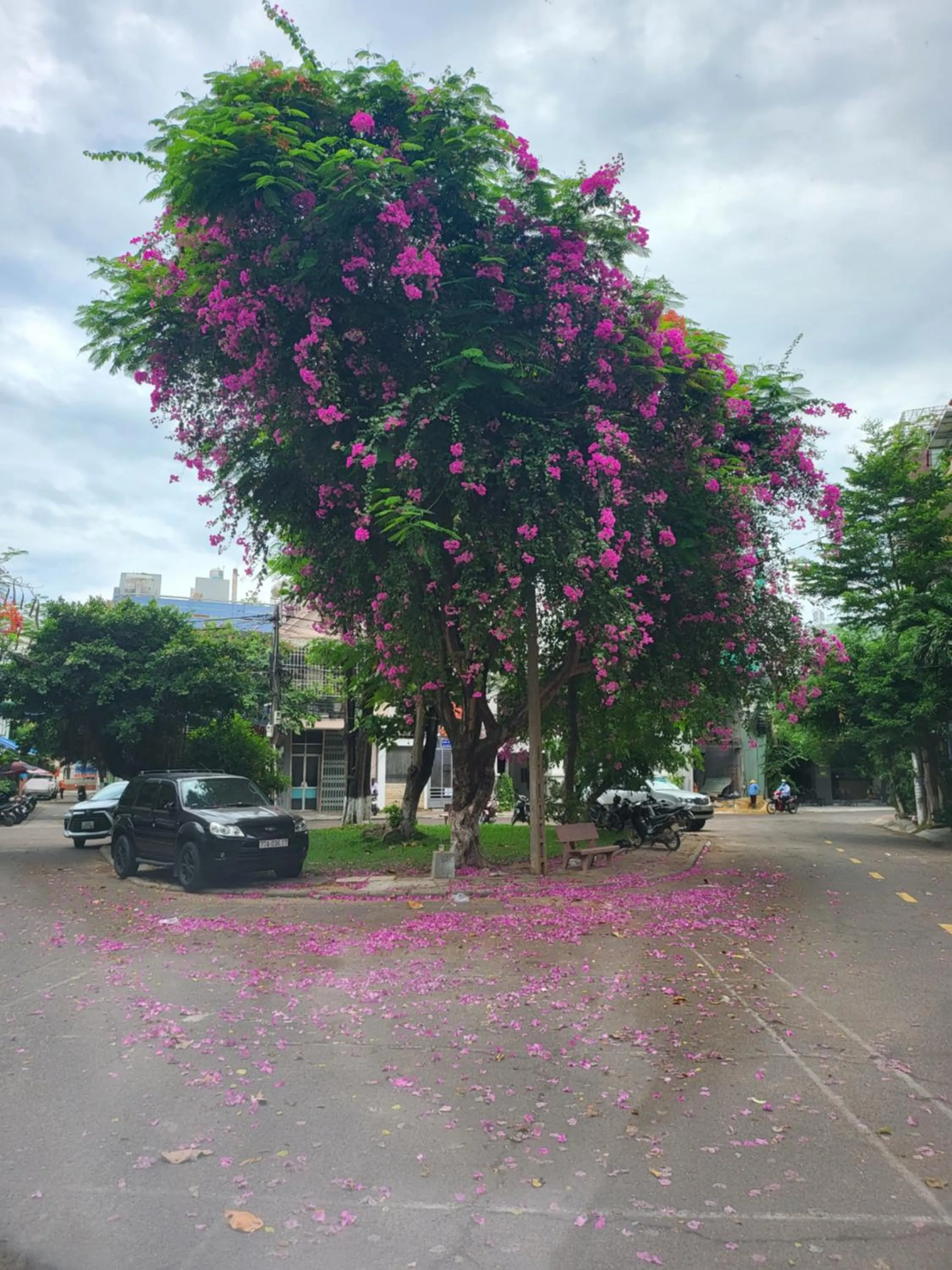 Neighbourhood in Quy Nhơn Center