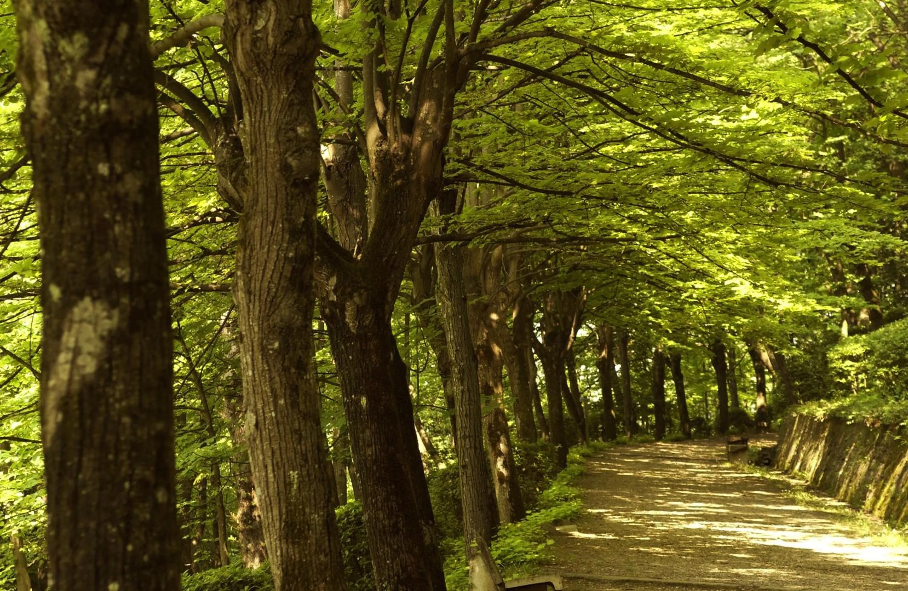 Natural landscape in Grand Hotel Terme
