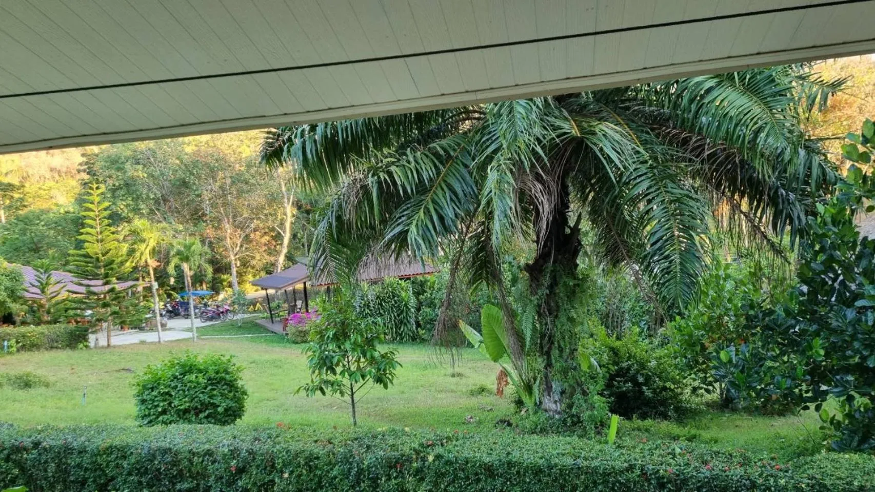 Garden in Mookies Bungalows