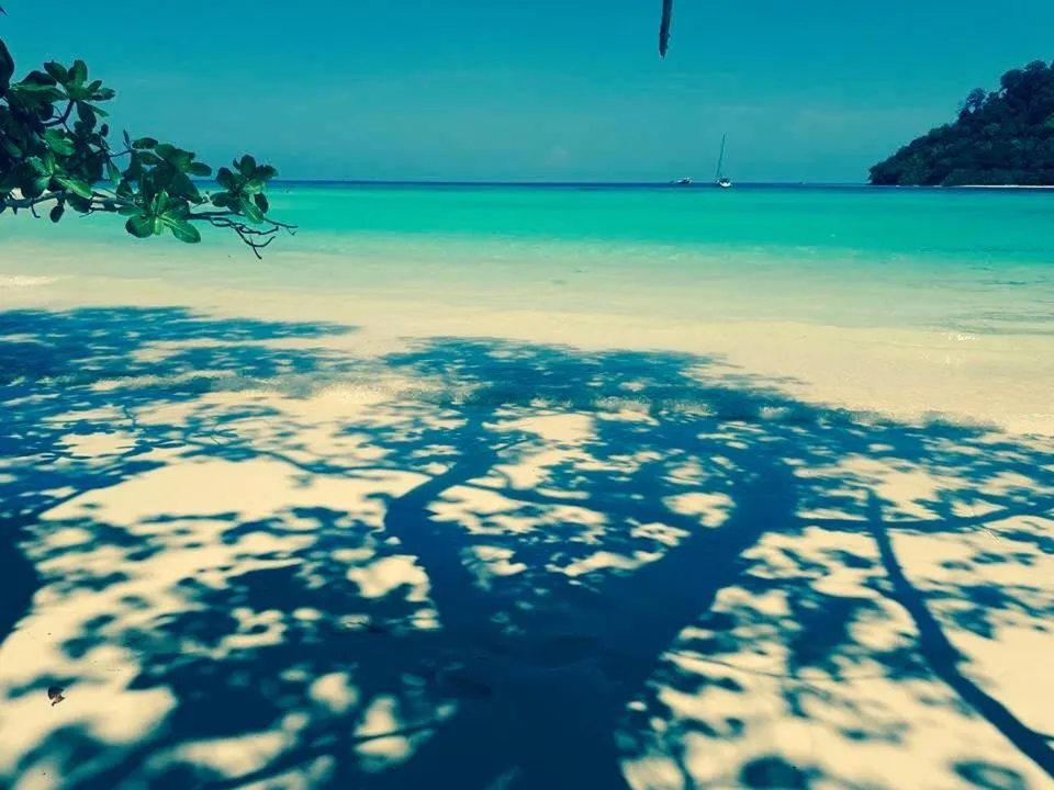 Fishing in Mookies Bungalows