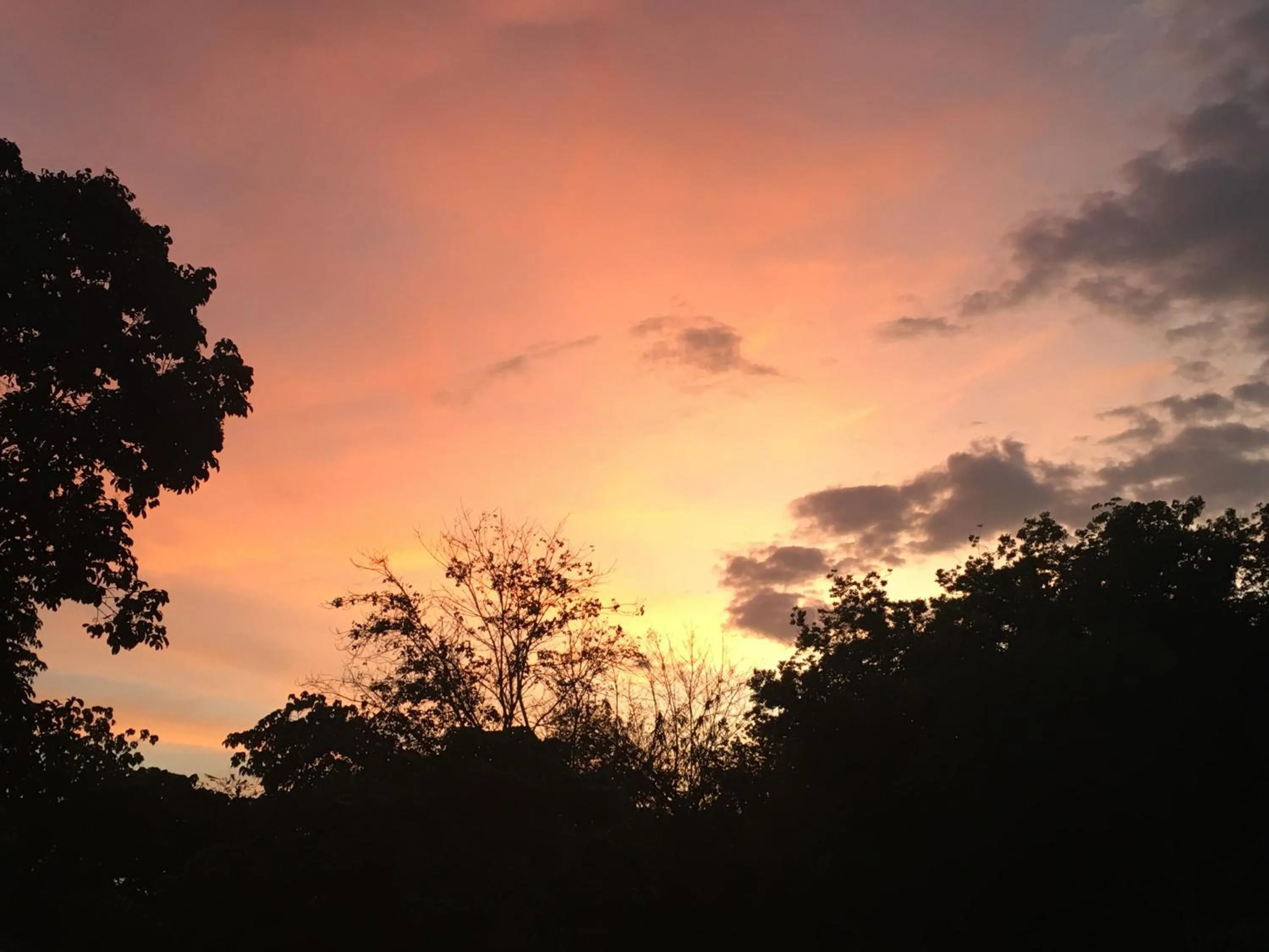 Natural landscape in Mookies Bungalows