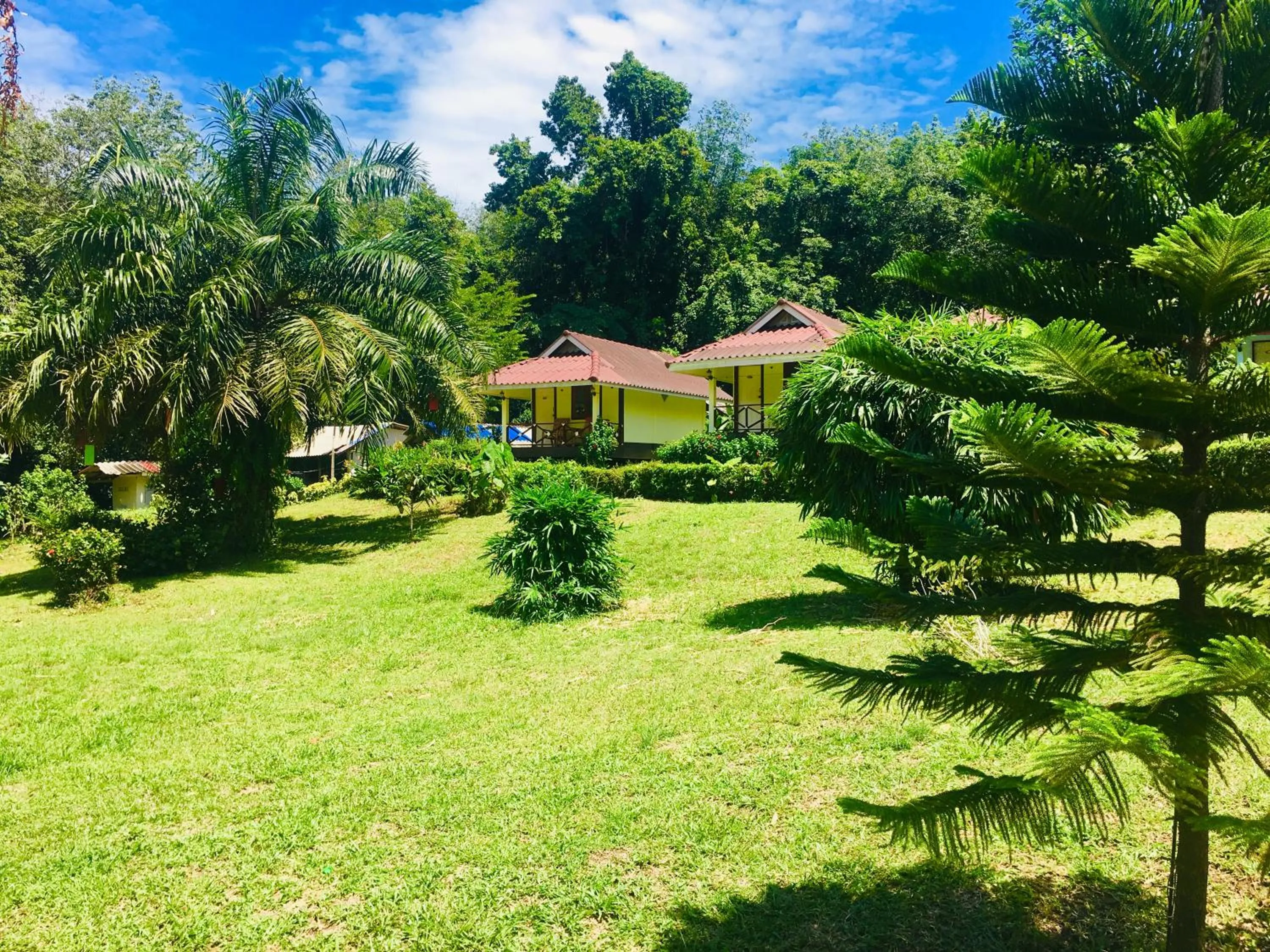 Natural landscape in Mookies Bungalows