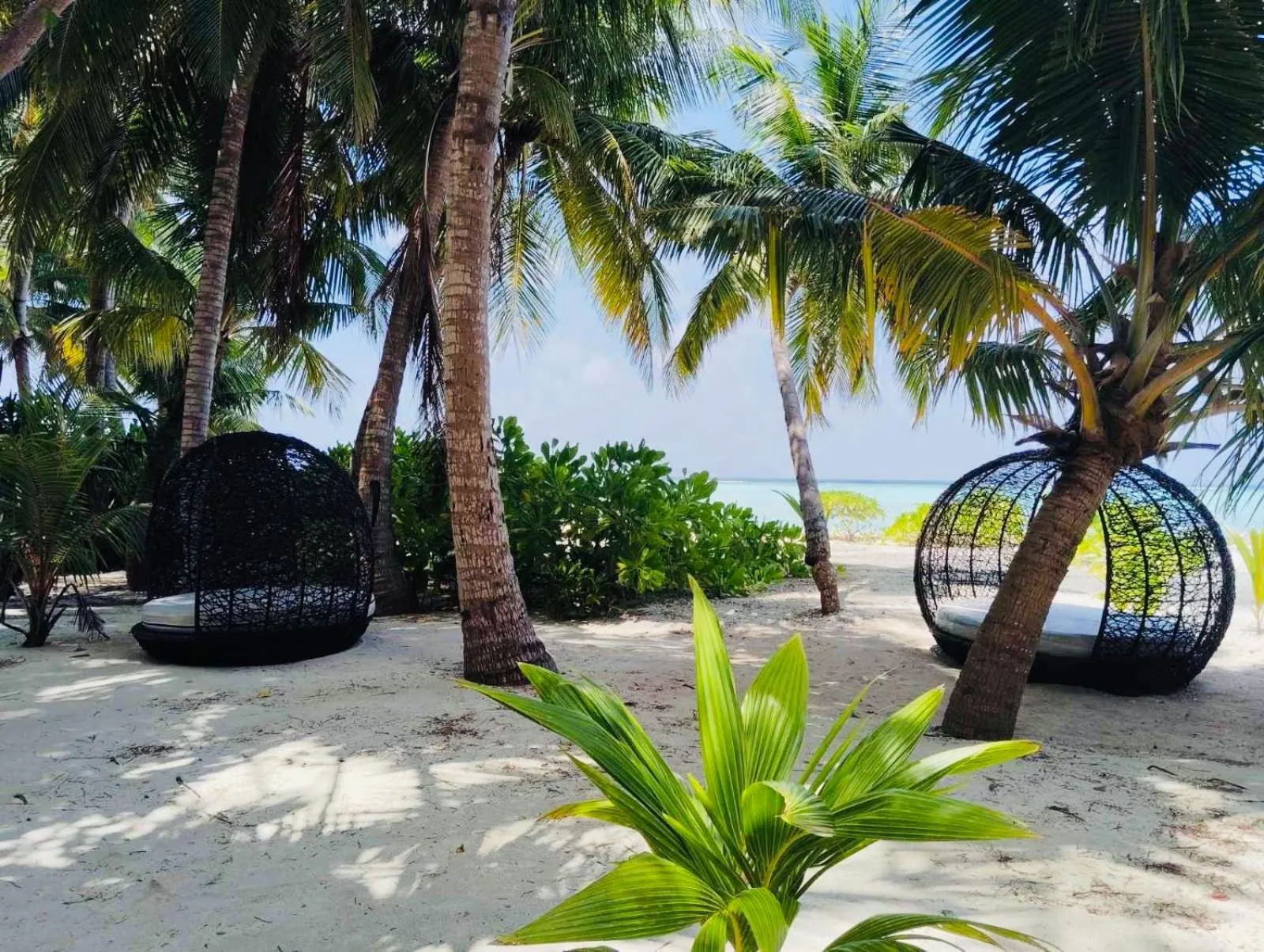 Rattehi Inn at Rakeedhoo