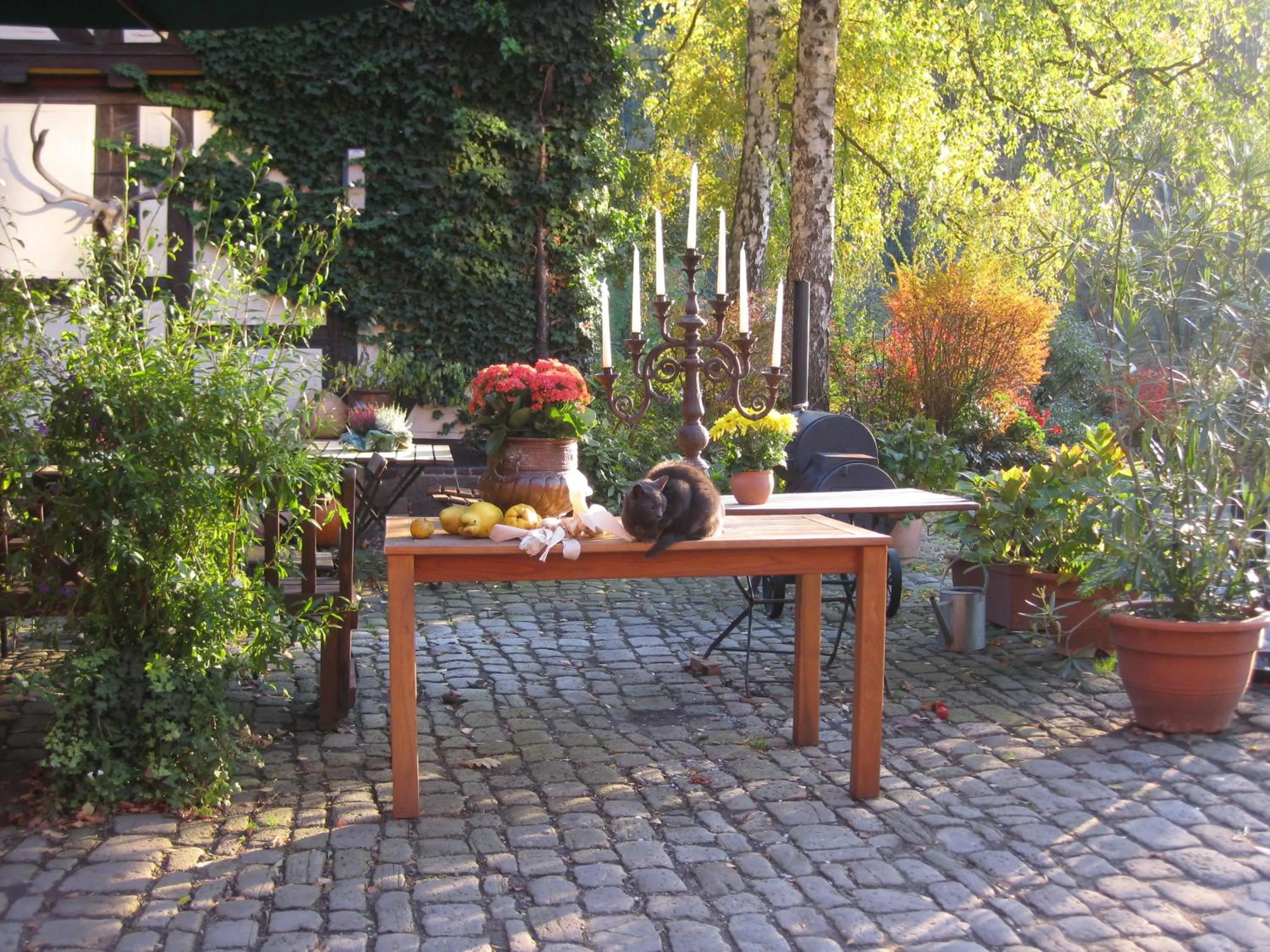 Property building in Hotel Schlafschön