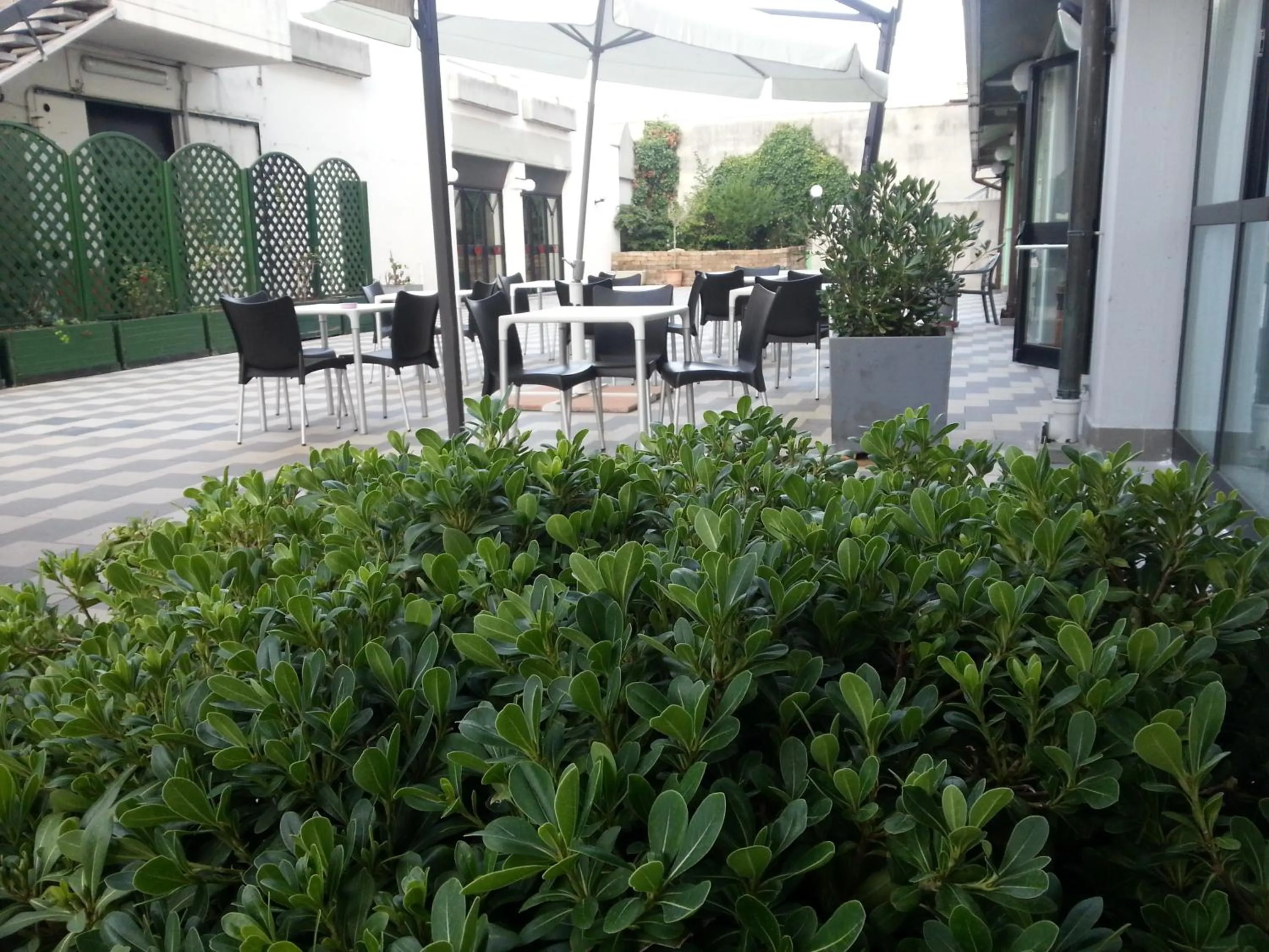 Patio in Ilga Hotel