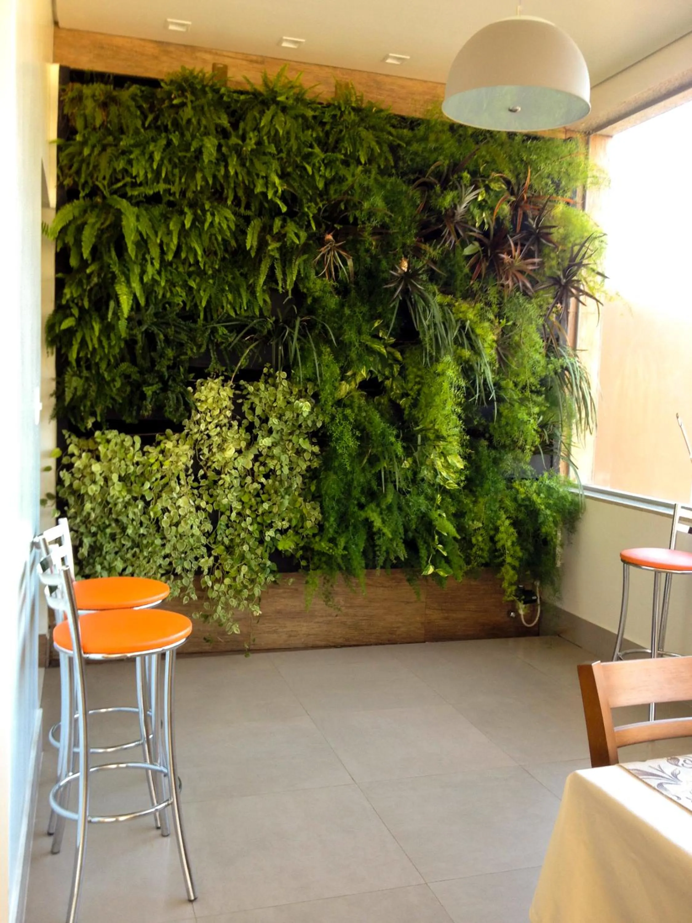 Natural landscape in Hotel Planalto 2