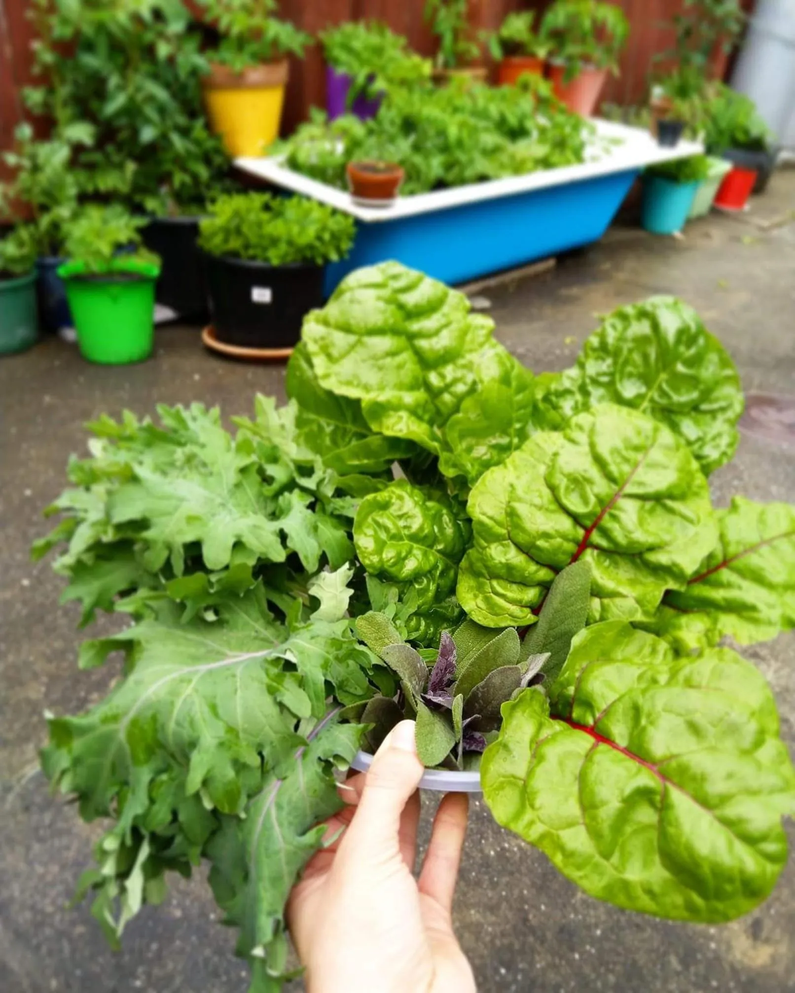 BBQ facilities in Crashpalace Napier