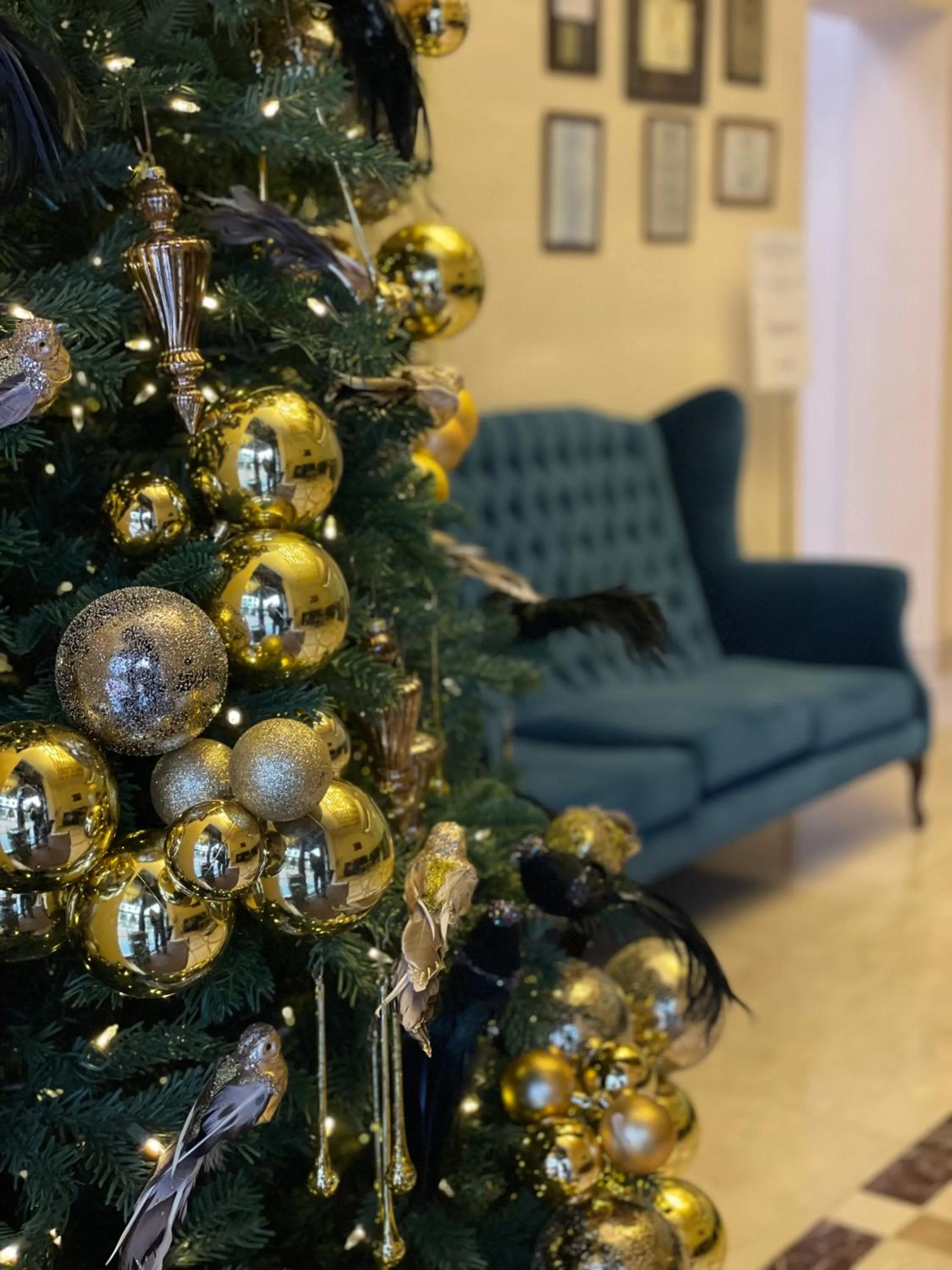 Living room in KADORR Hotel Resort & Spa