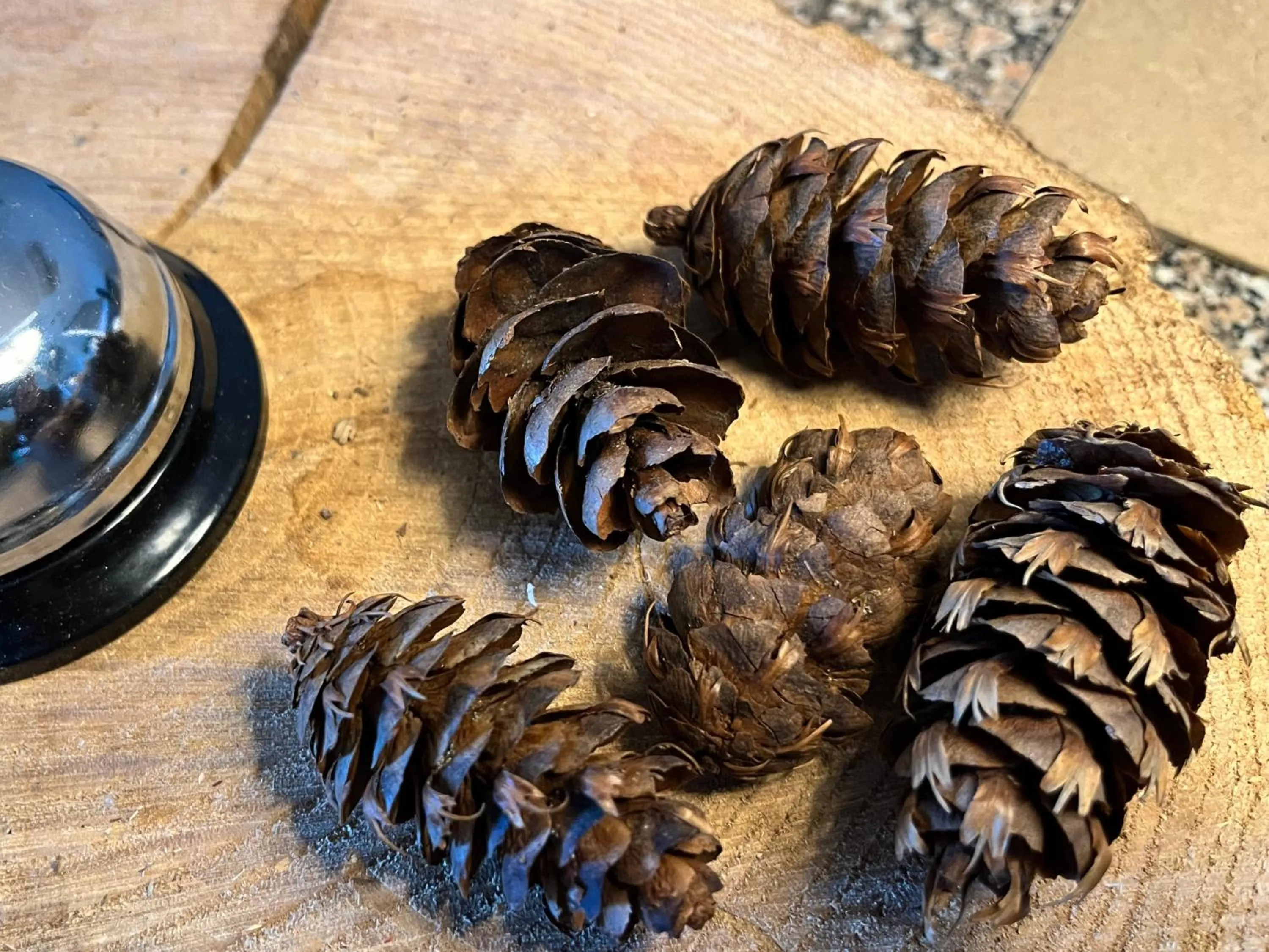 Decorative detail in Vinhais Hotel