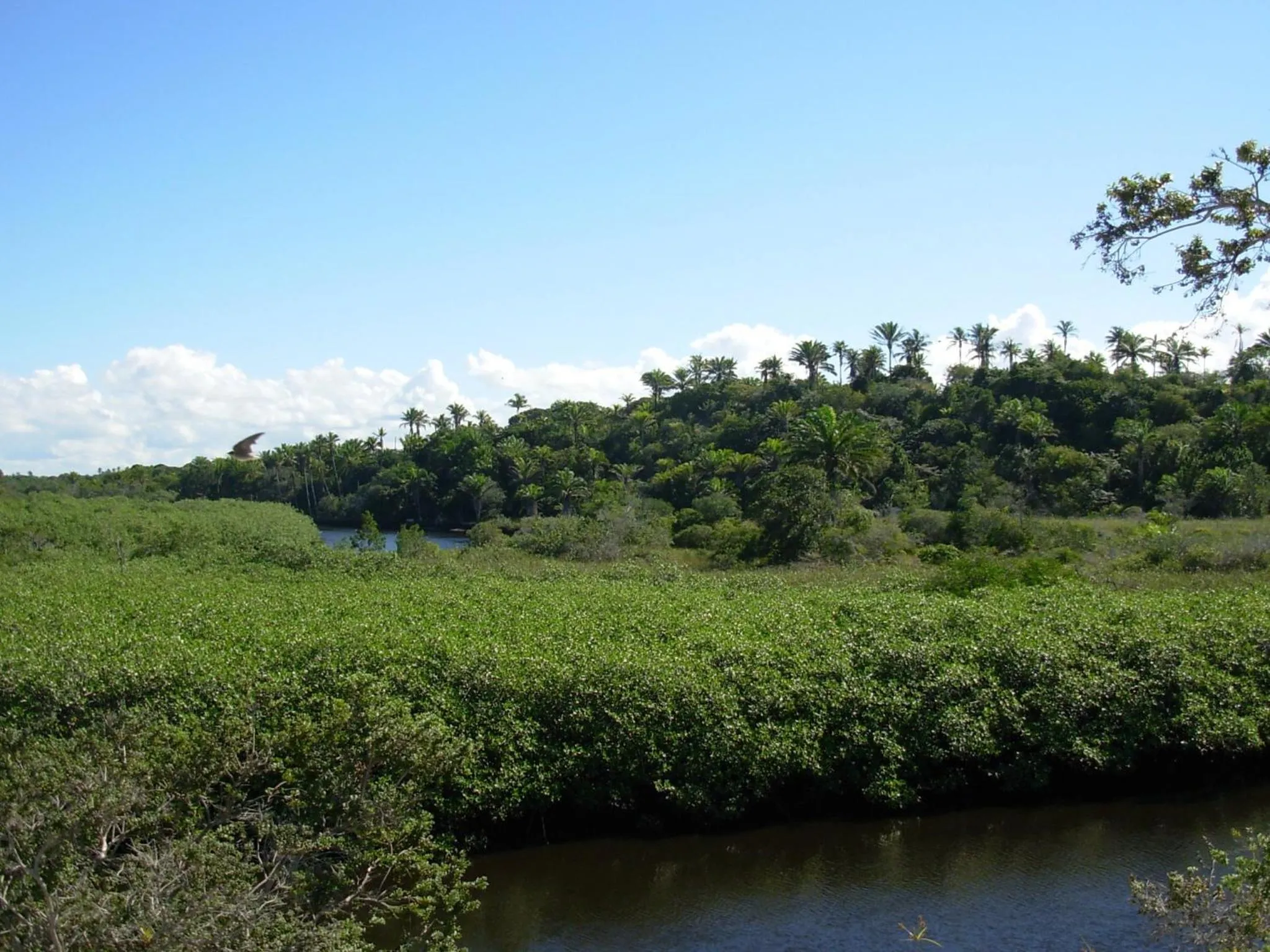 Day in Pousada Do Guga