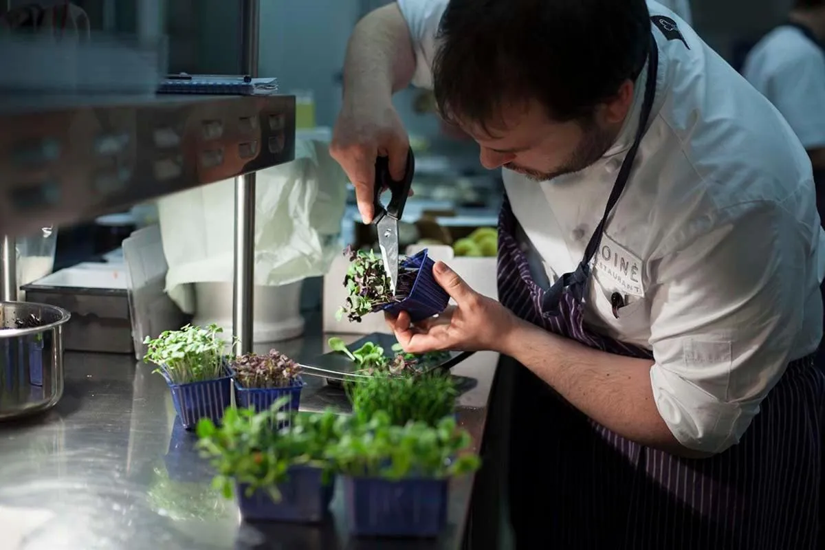 Restaurant/places to eat in BHL Boutique Rooms Legnano