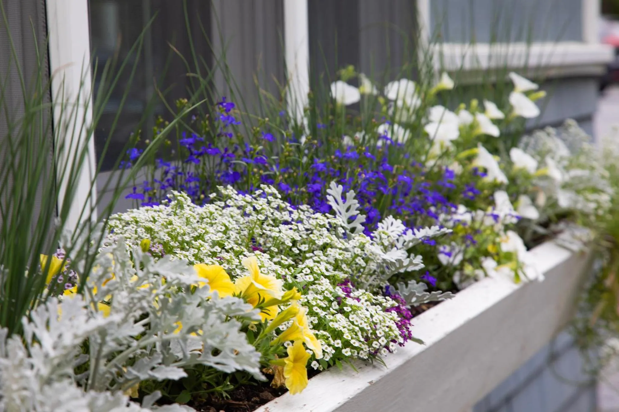 Garden view in The Shire Woodstock
