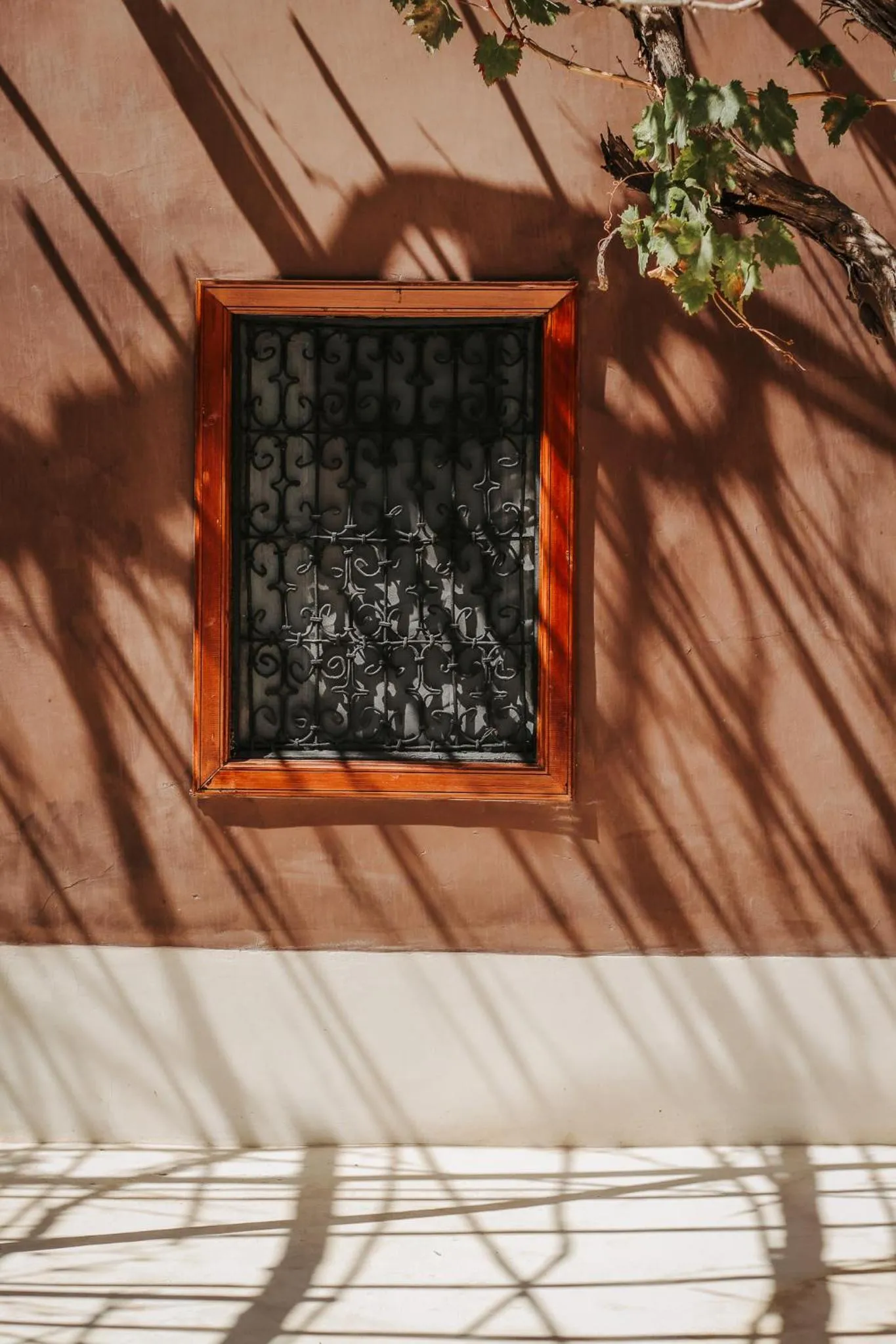 Patio in Hotel & Spa La Ferme El Dar