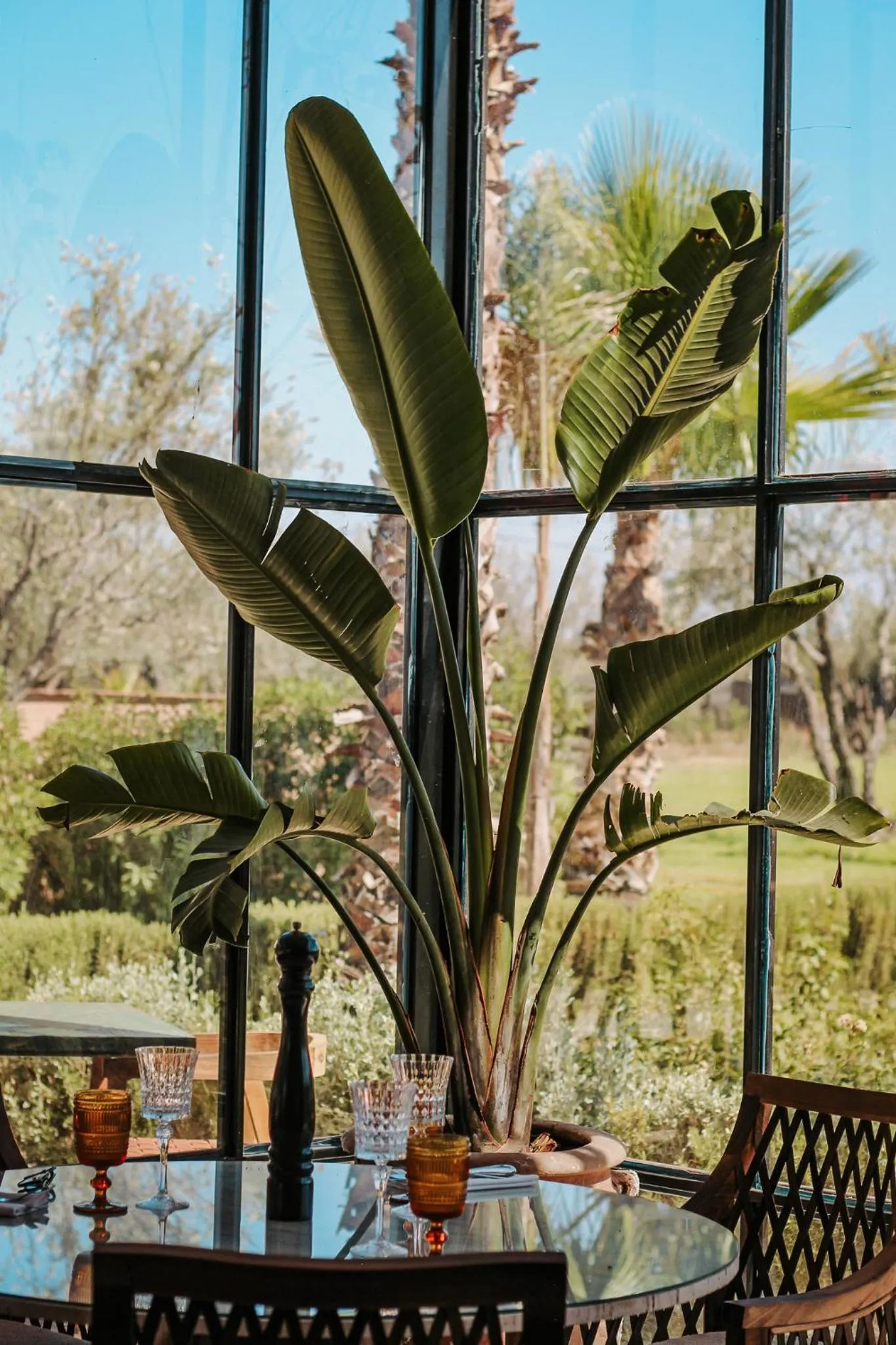 Day in Hotel & Spa La Ferme El Dar