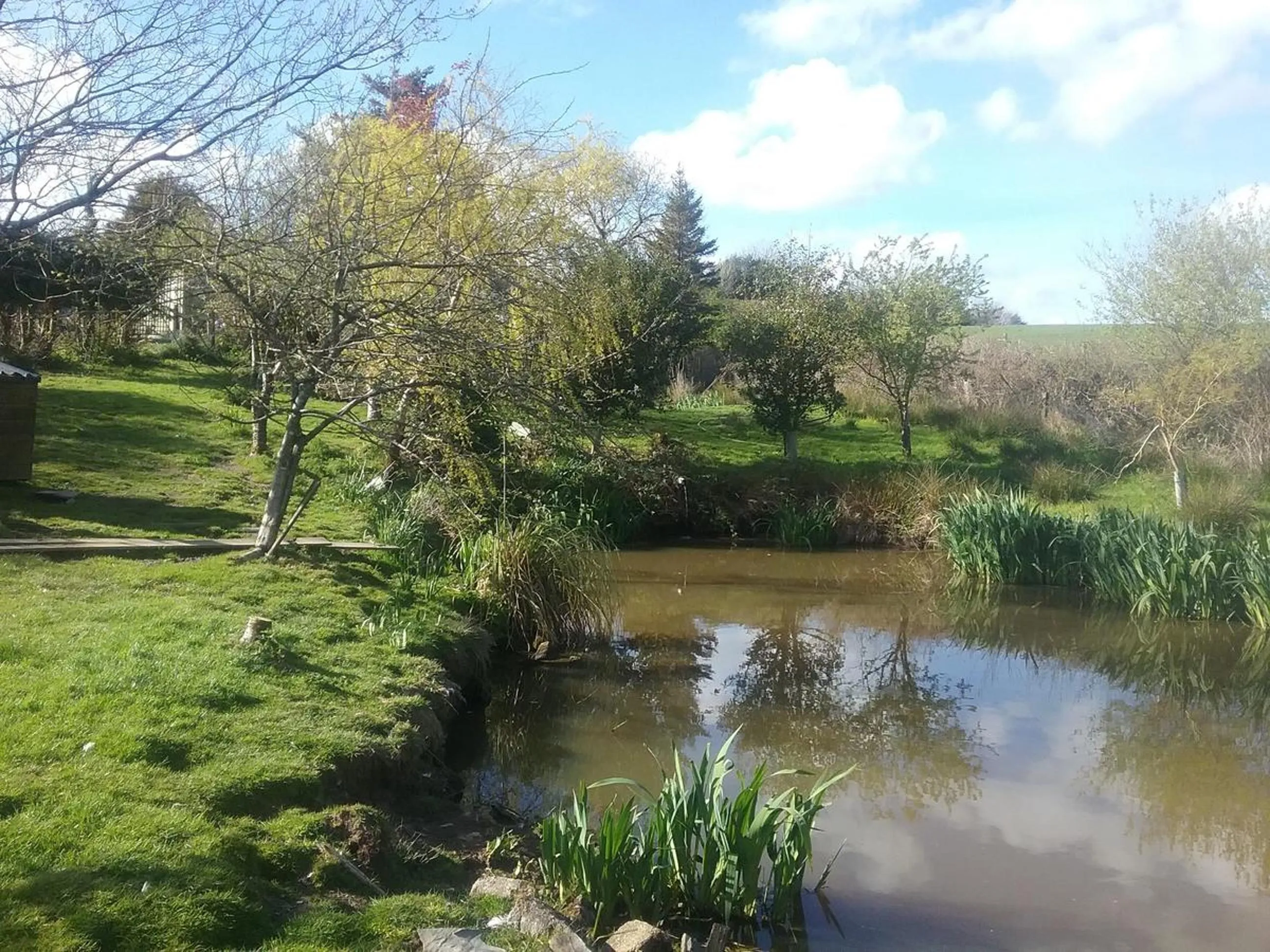 Natural landscape in Heathergate Cottage Dartmoor BnB
