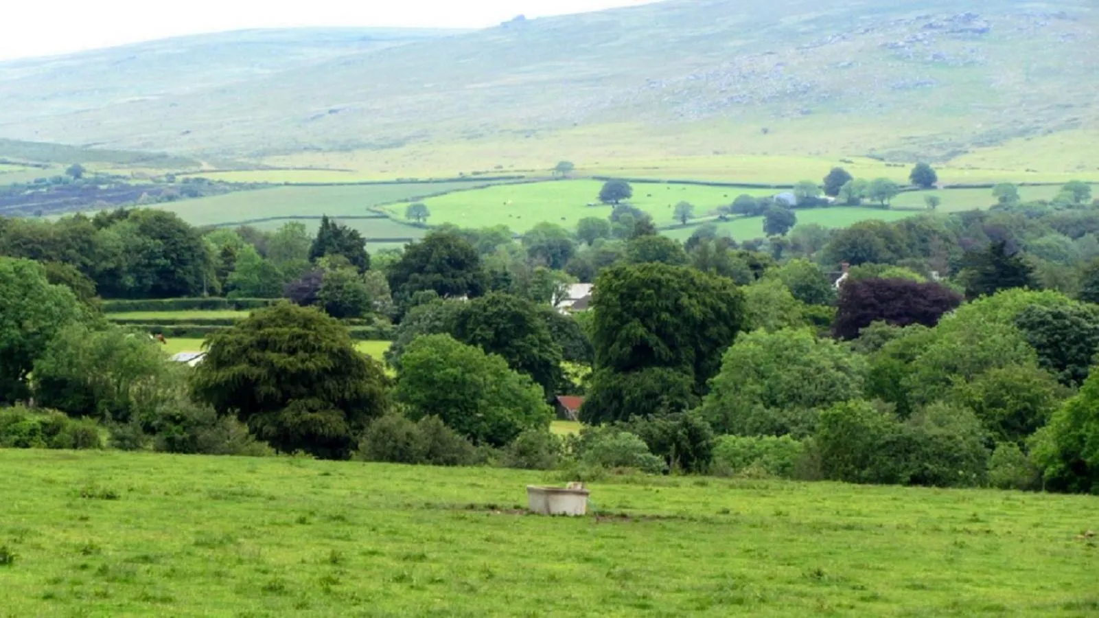 Garden view in Heathergate Cottage Dartmoor BnB