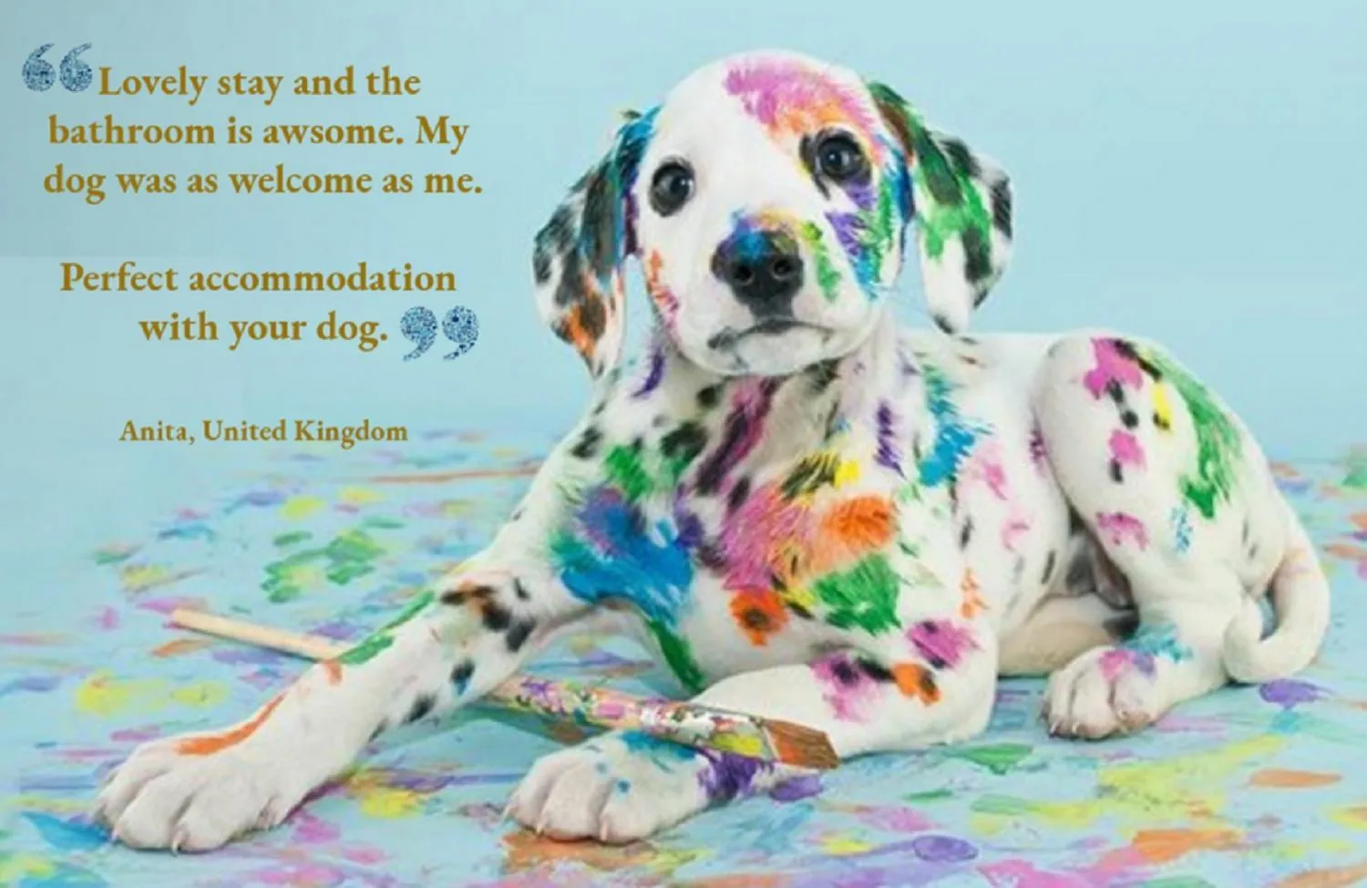 Logo/Certificate/Sign in Heathergate Cottage Dartmoor BnB