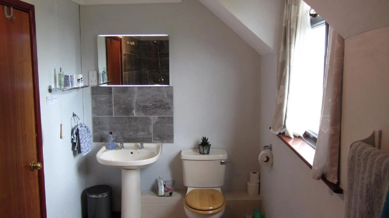 Toilet in Heathergate Cottage Dartmoor BnB