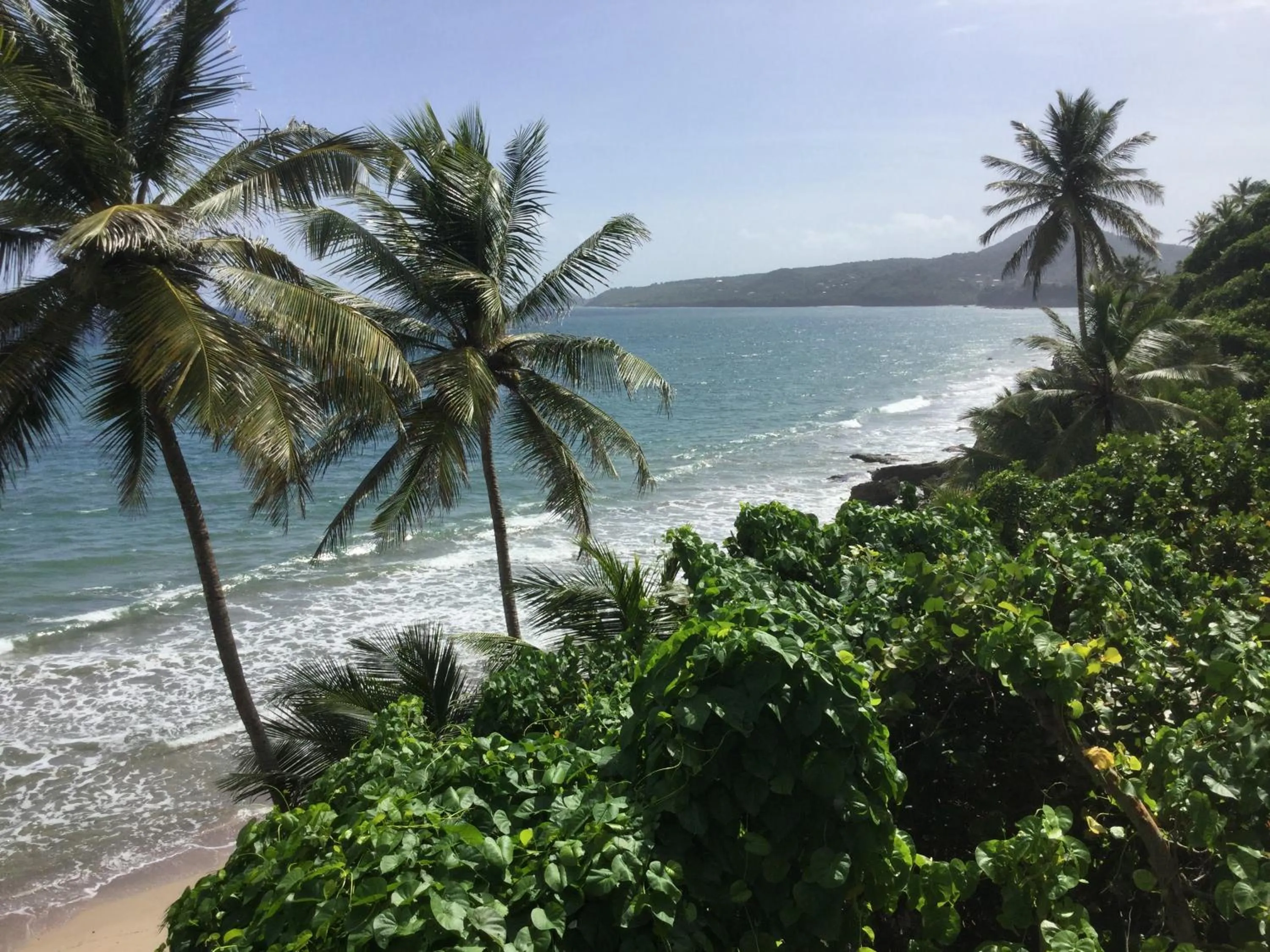 Property building in Petite Anse Hotel
